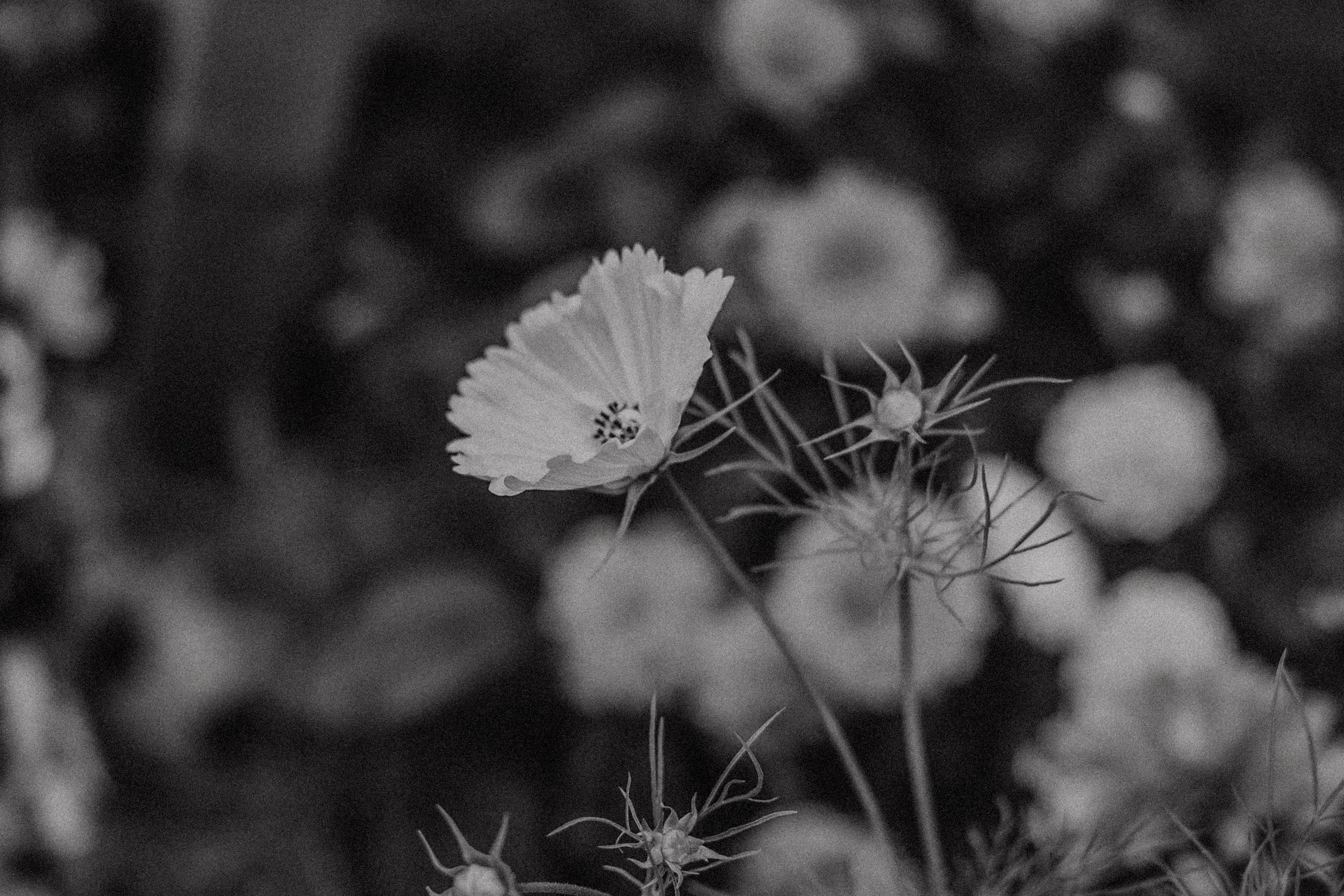 How to Build a Standout photography Brand
