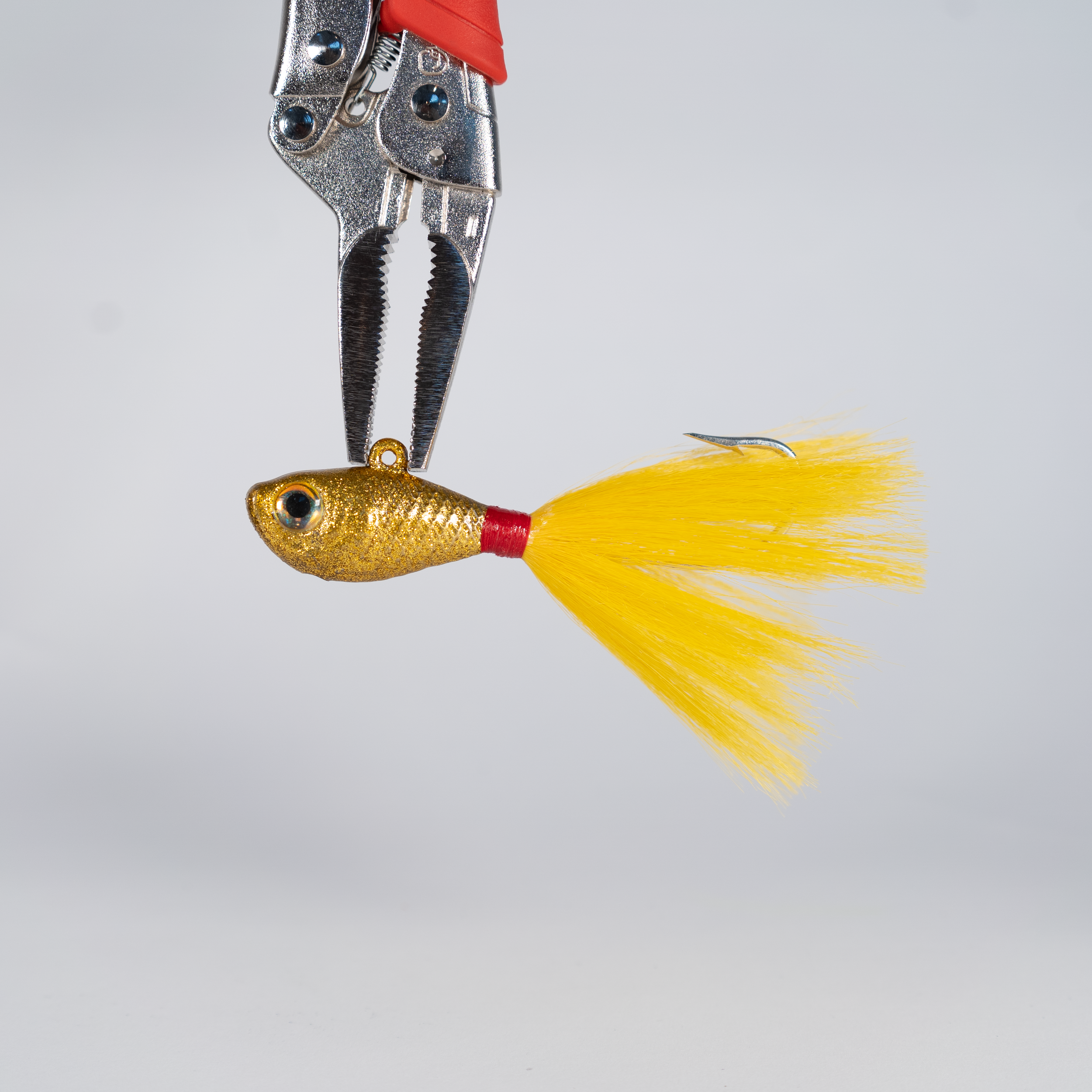 fgminnow_3_039.png