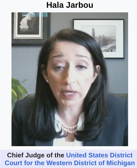 Judge blessed MI’s midterm election steal