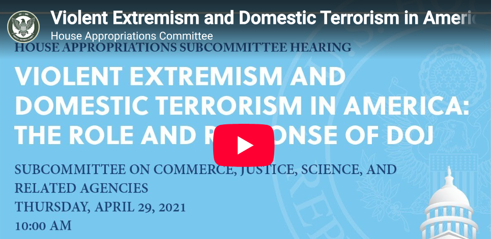 Democrats define themselves as violent extremists