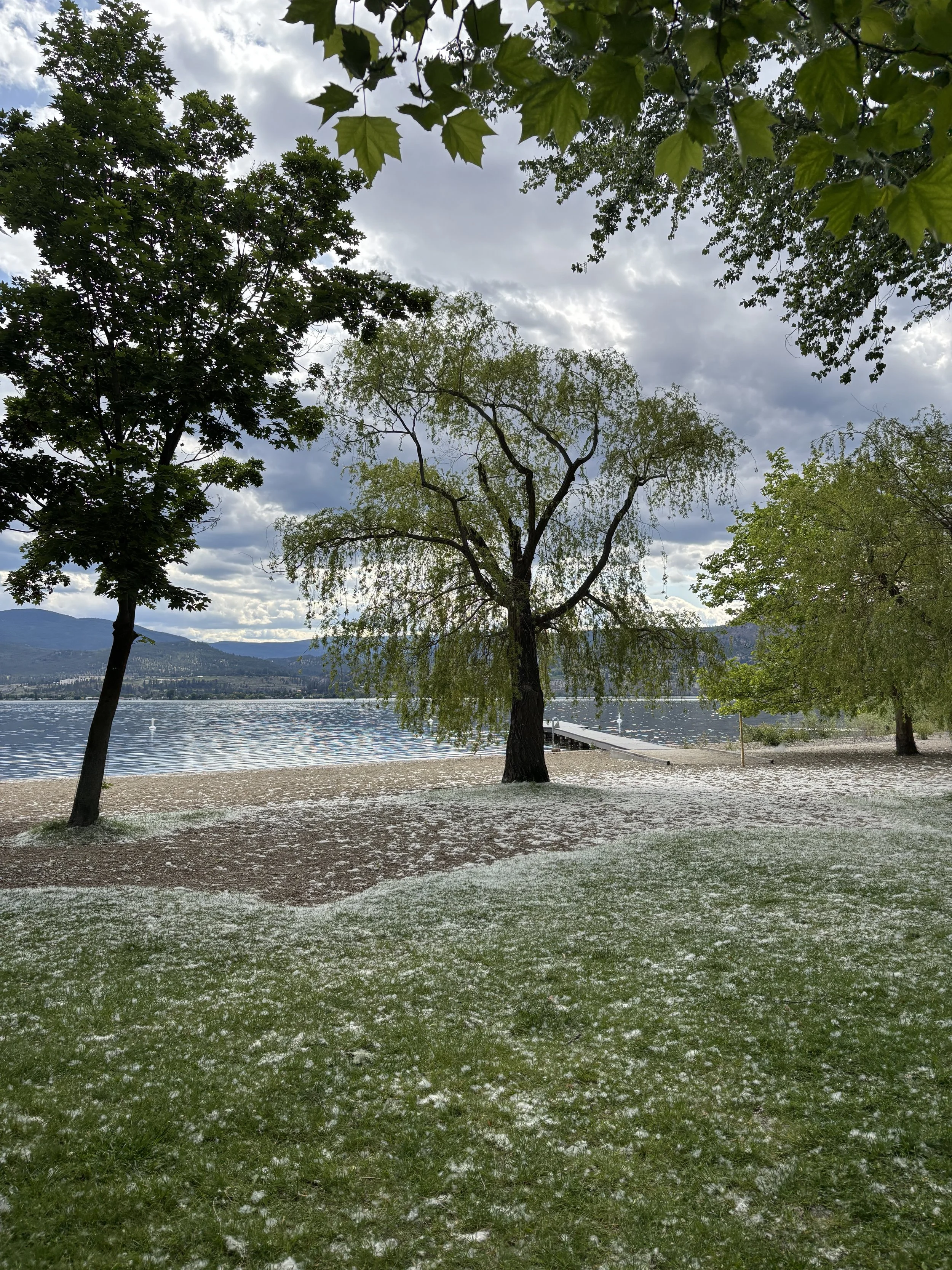 물 너머 듣기 Listening Beyond Water