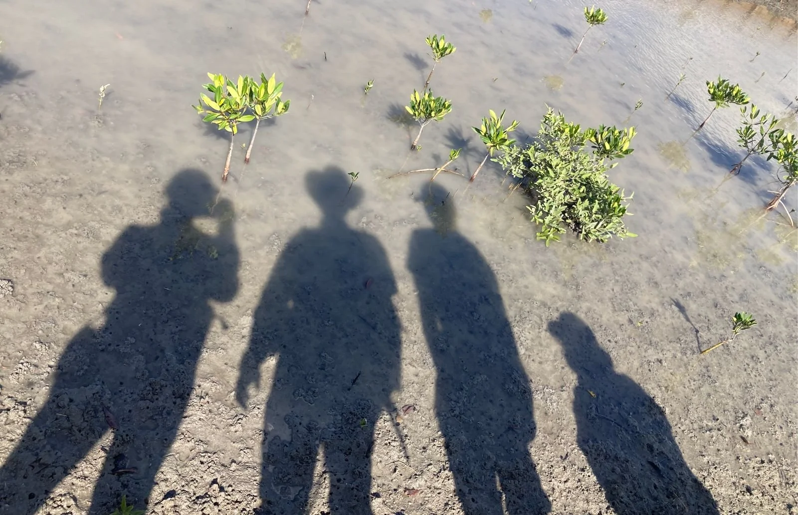 물은 이야기다 Water Is the Story