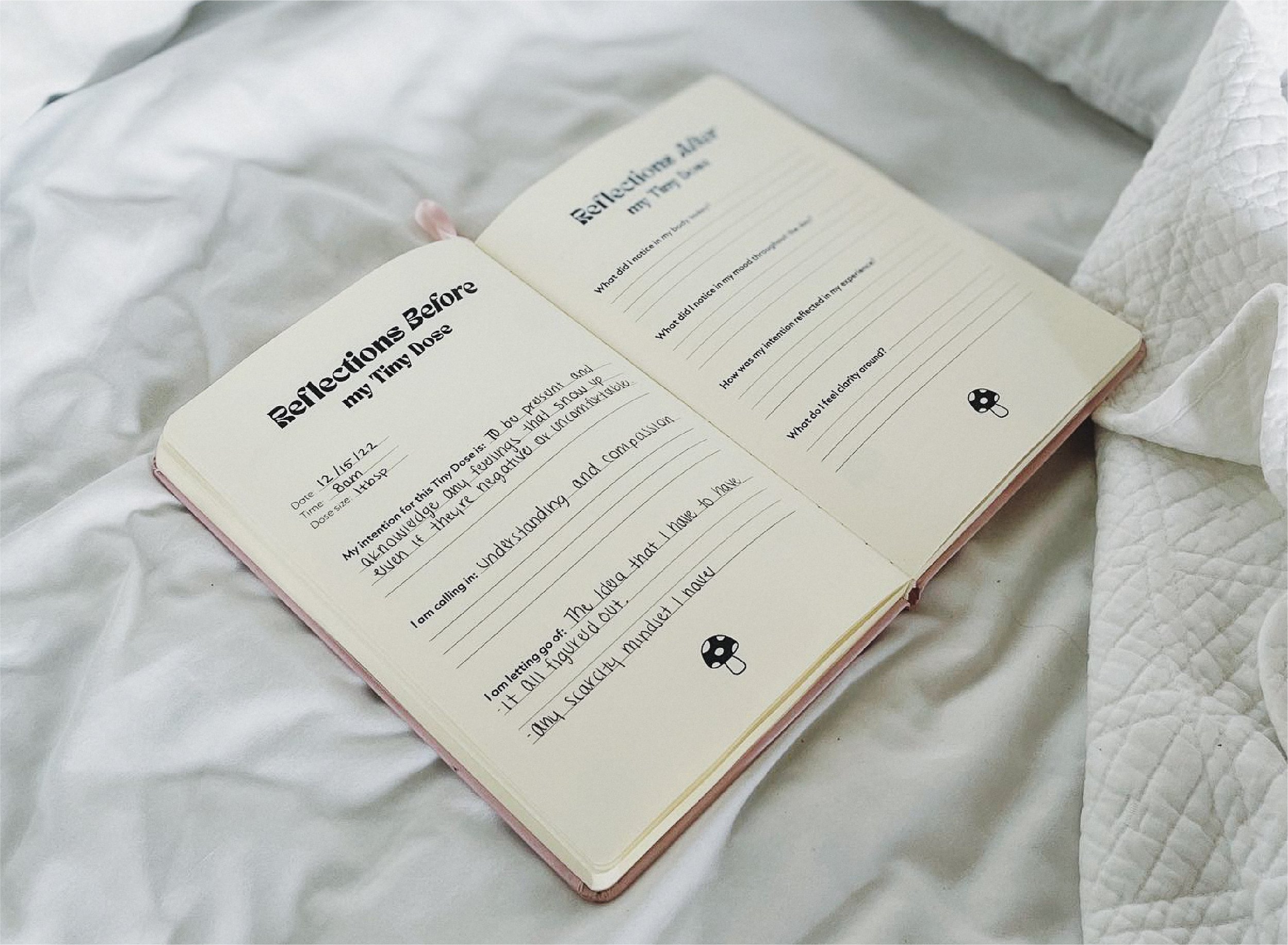 TinyDoses_Journal_4.jpg