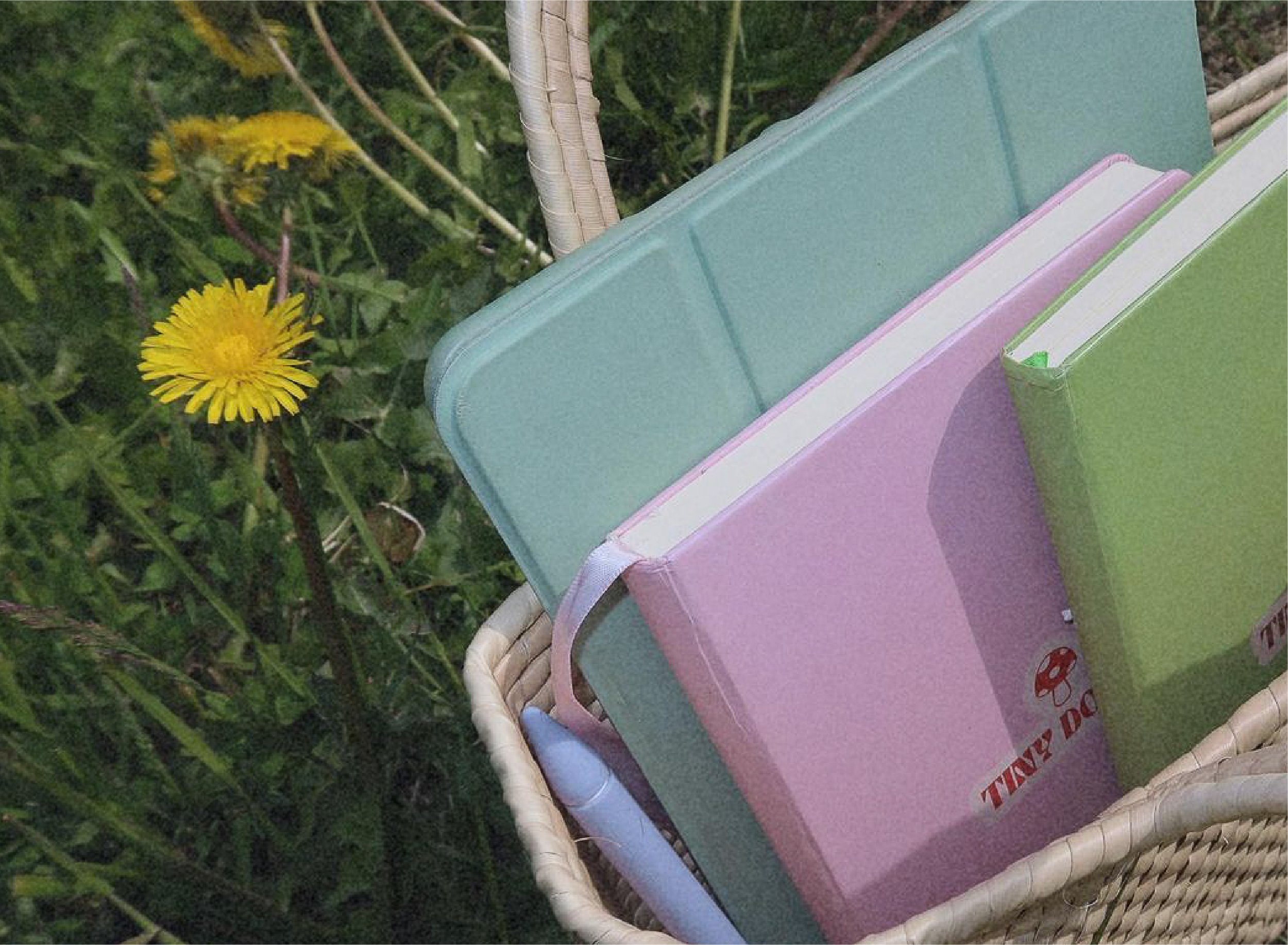 TinyDoses_Journal_3.jpg