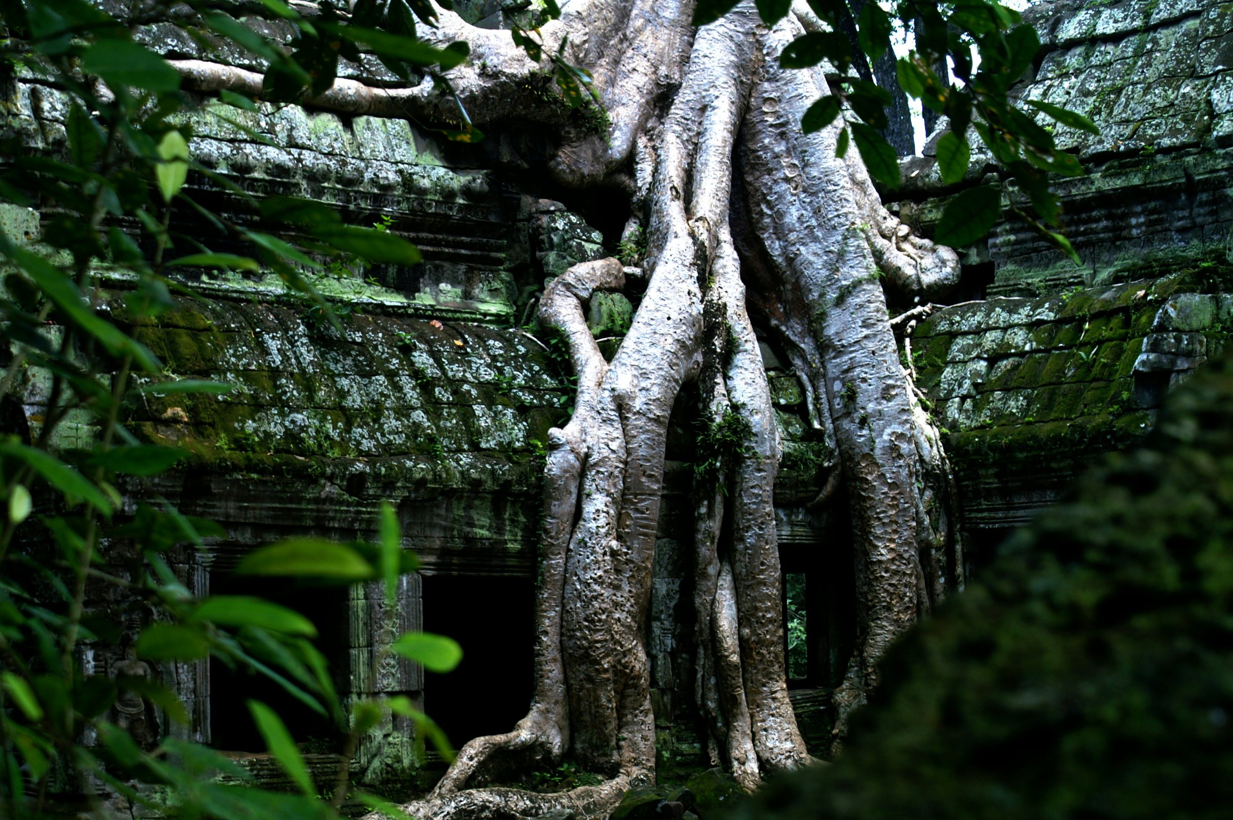 ancestral trauma healing