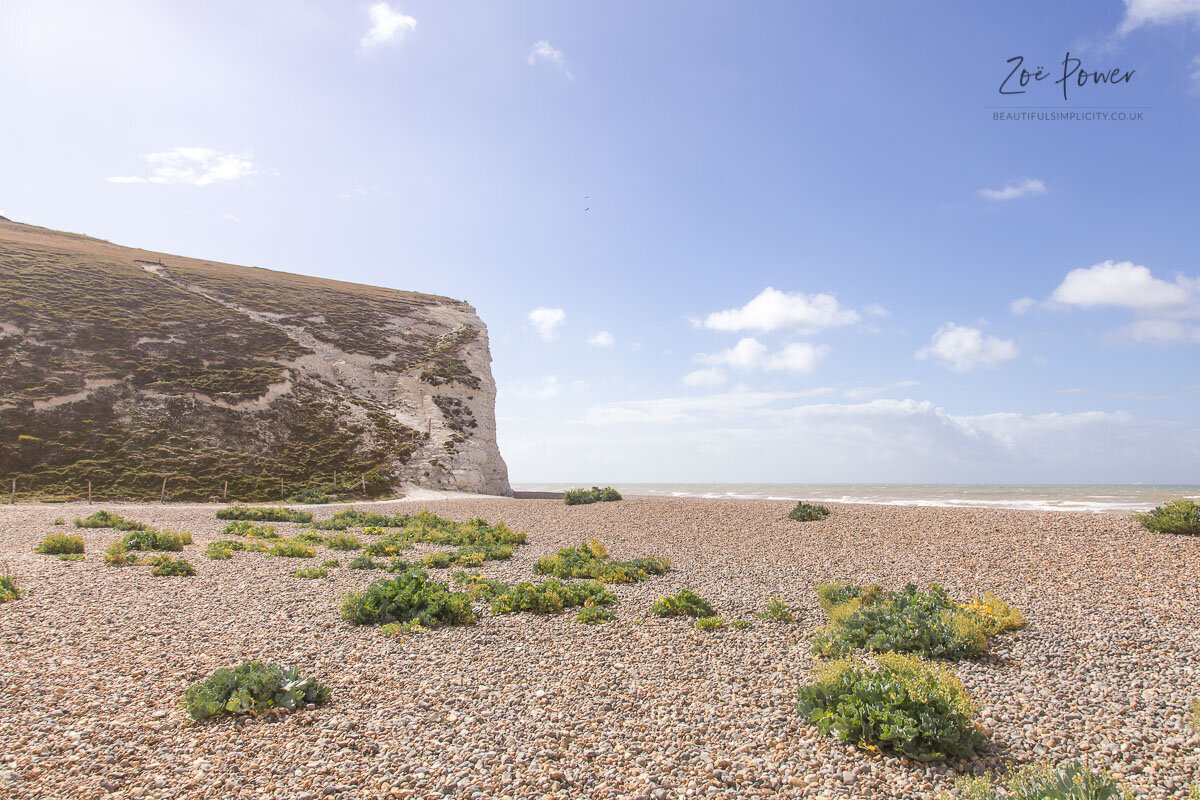 A Photo Guide to Cuckmere Haven and Hope Gap, East Sussex by Zoë Power ...