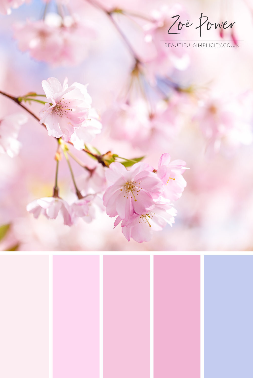 Pastel Colour Palette Collection of Prints, Cards, Notebooks and