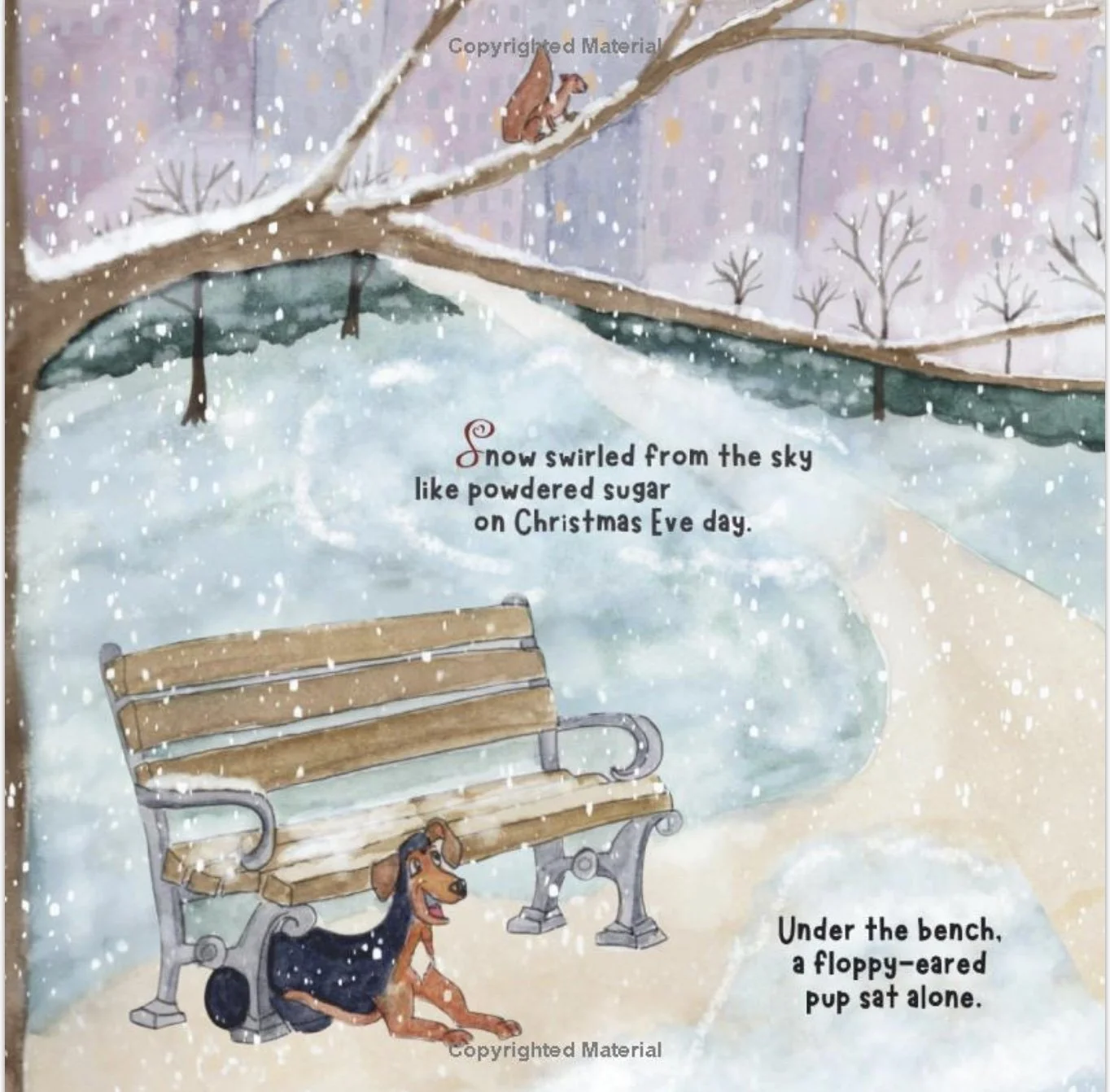 Image 11-10-25 at 11.57 AM.jpeg