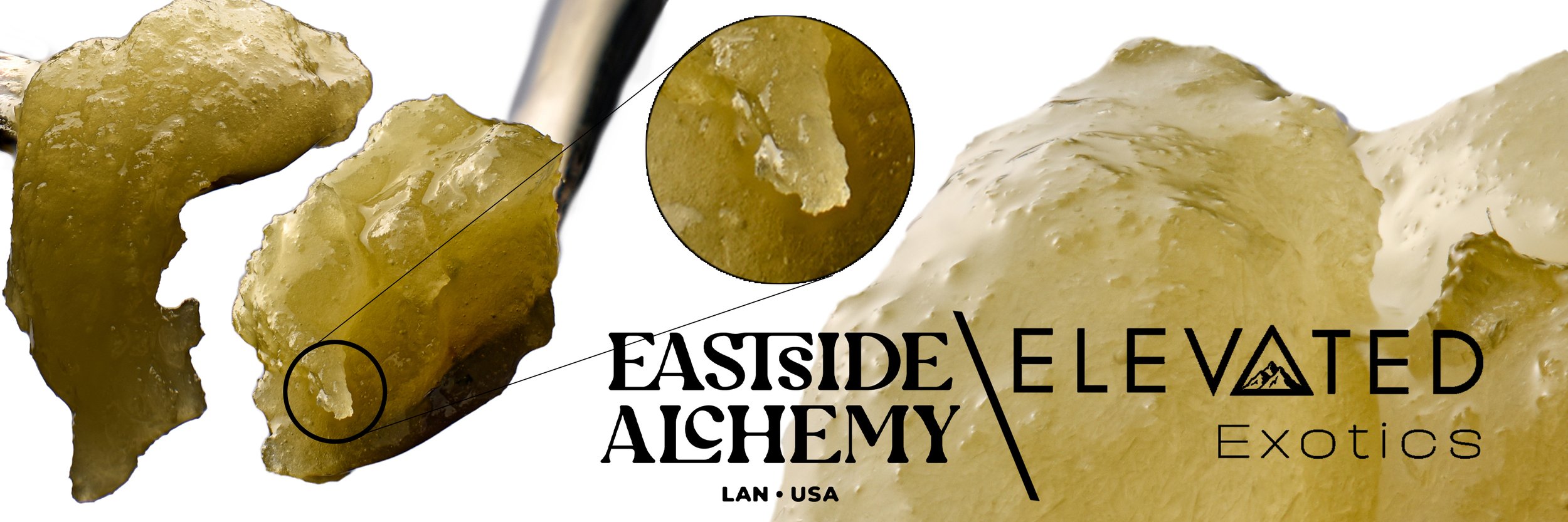 east side insta banner1.jpg
