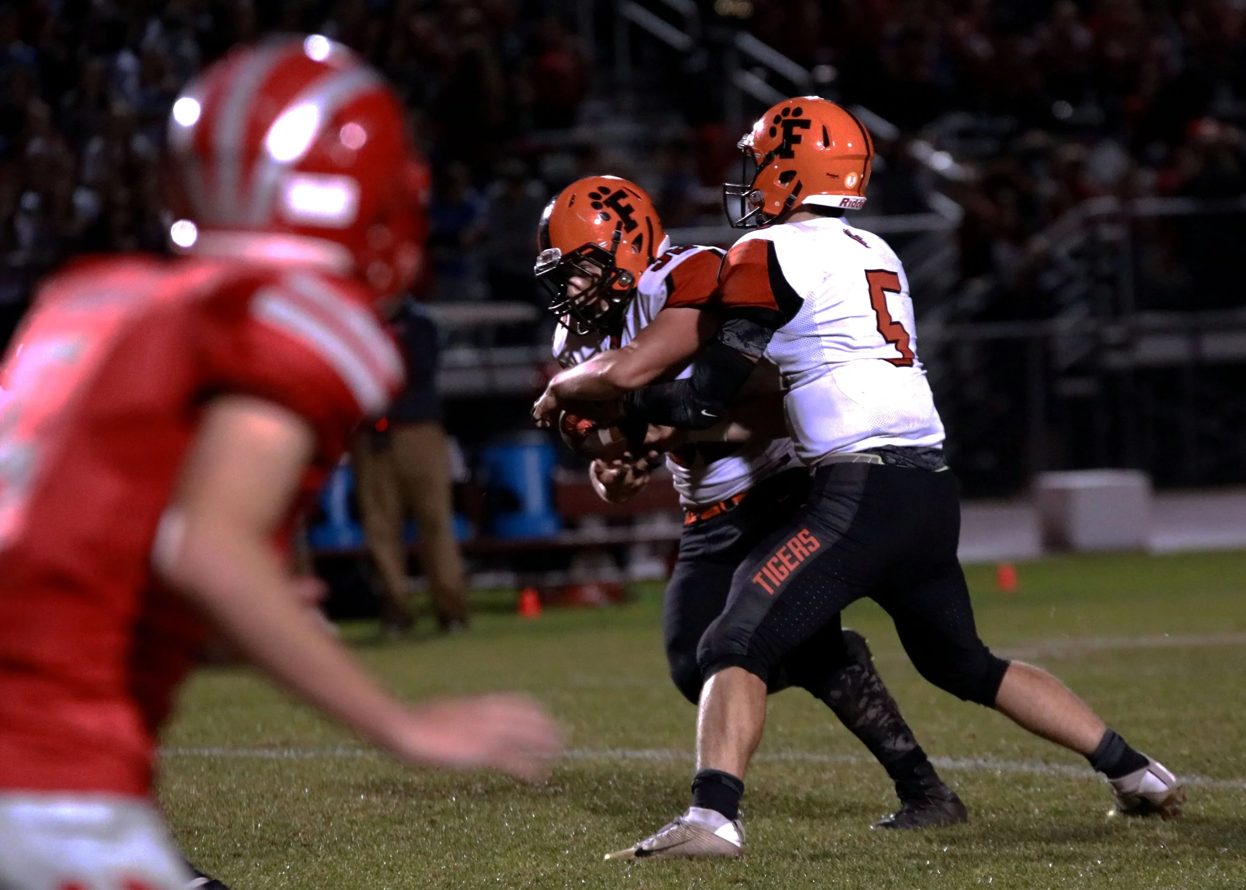 37371992636_1be9e6a011_o 2.JPG