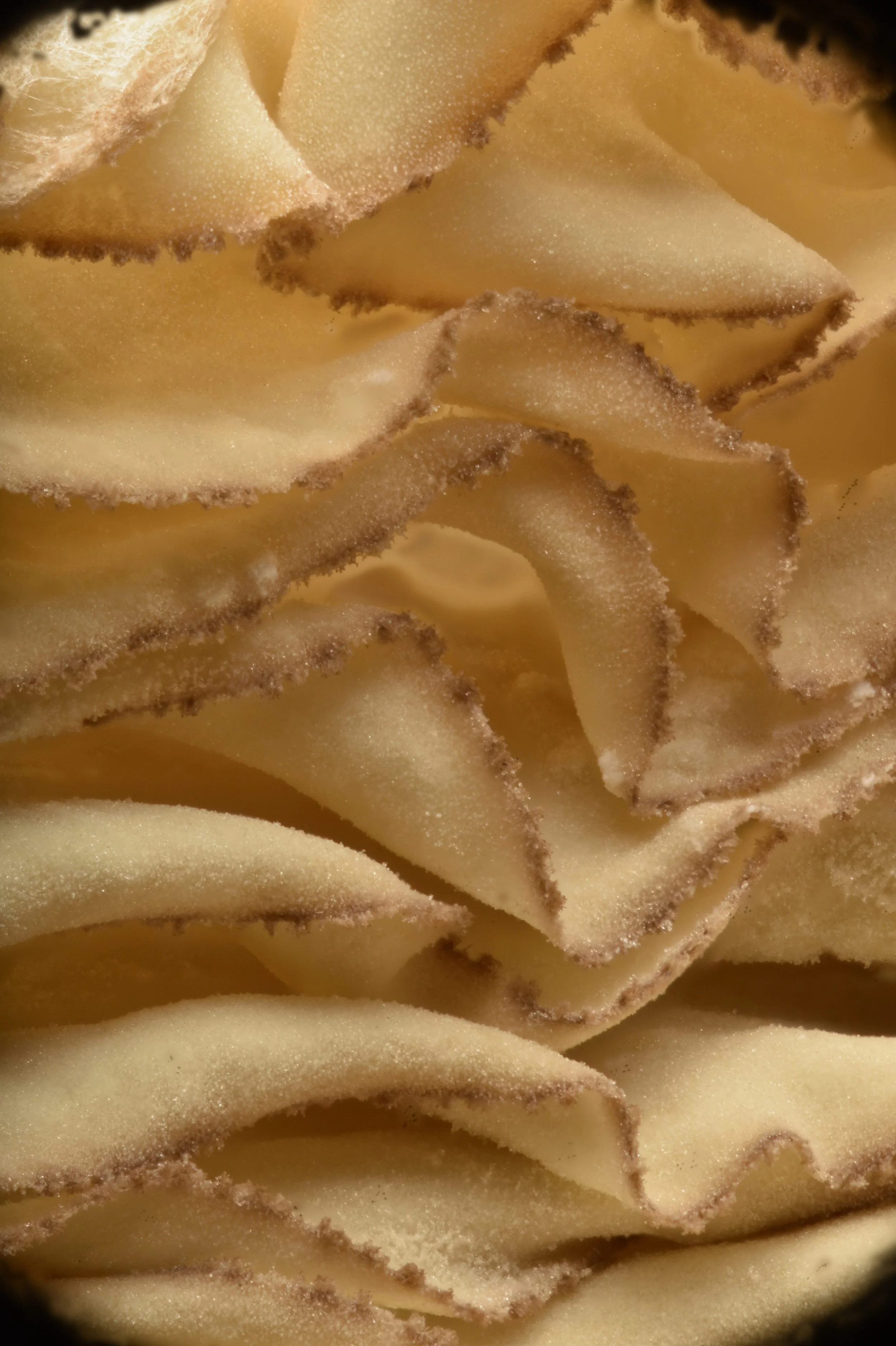 2023-10-06 05-05-59 (B,R8,S4).jpg