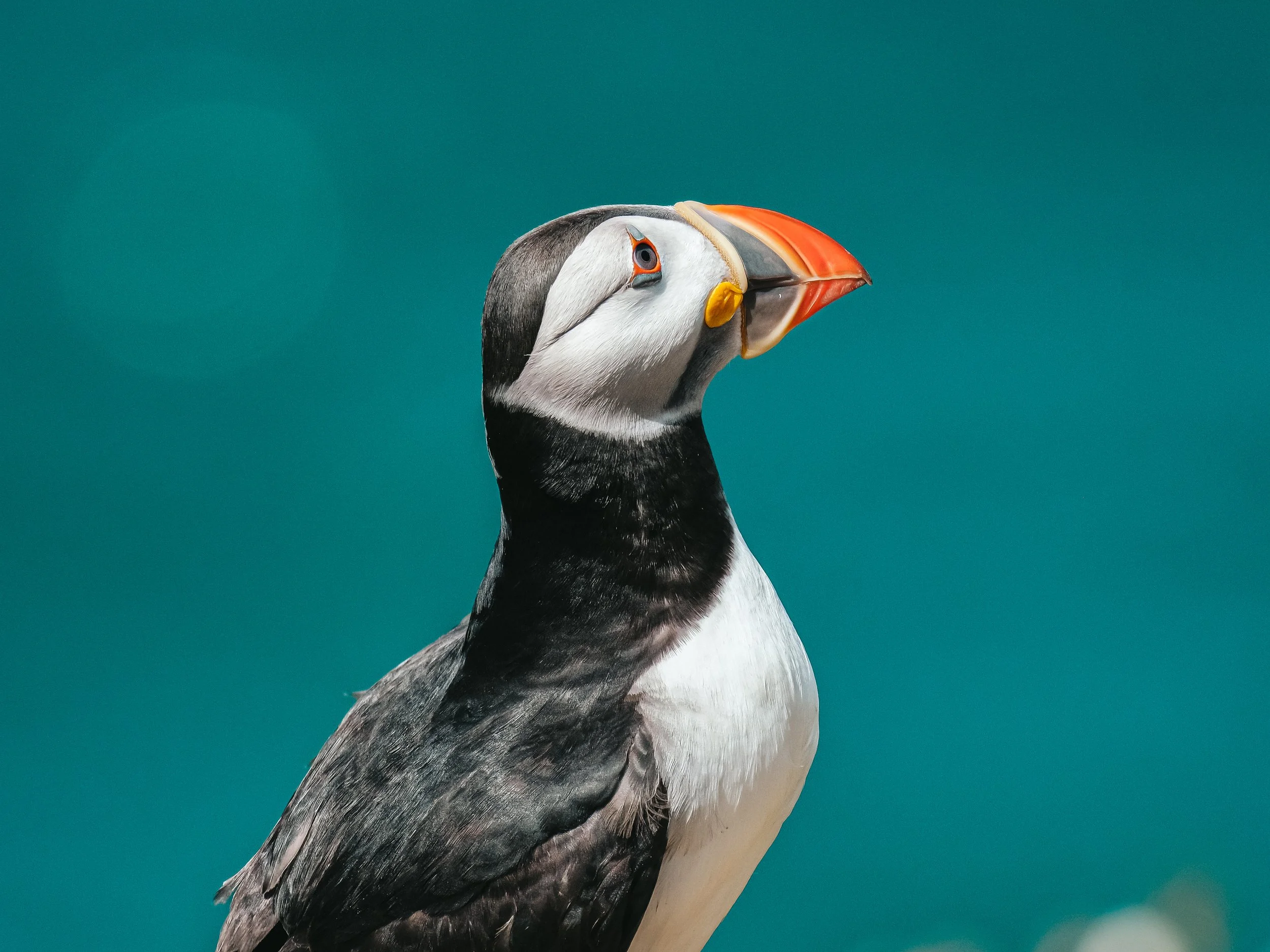 DSCF8515.jpg