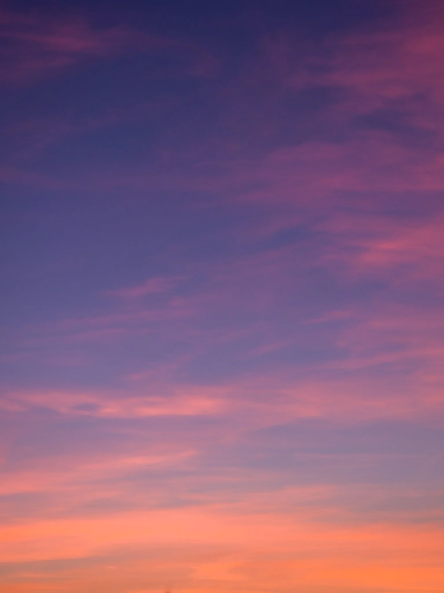 _DSF8865.jpg