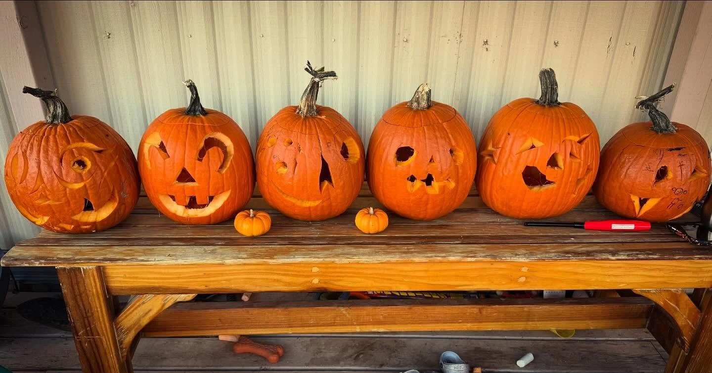Hitting the Halloween ground running after mom and dad were hit with the sick stick. Pumpkin carving mania this evening! β€οΈππππ»π