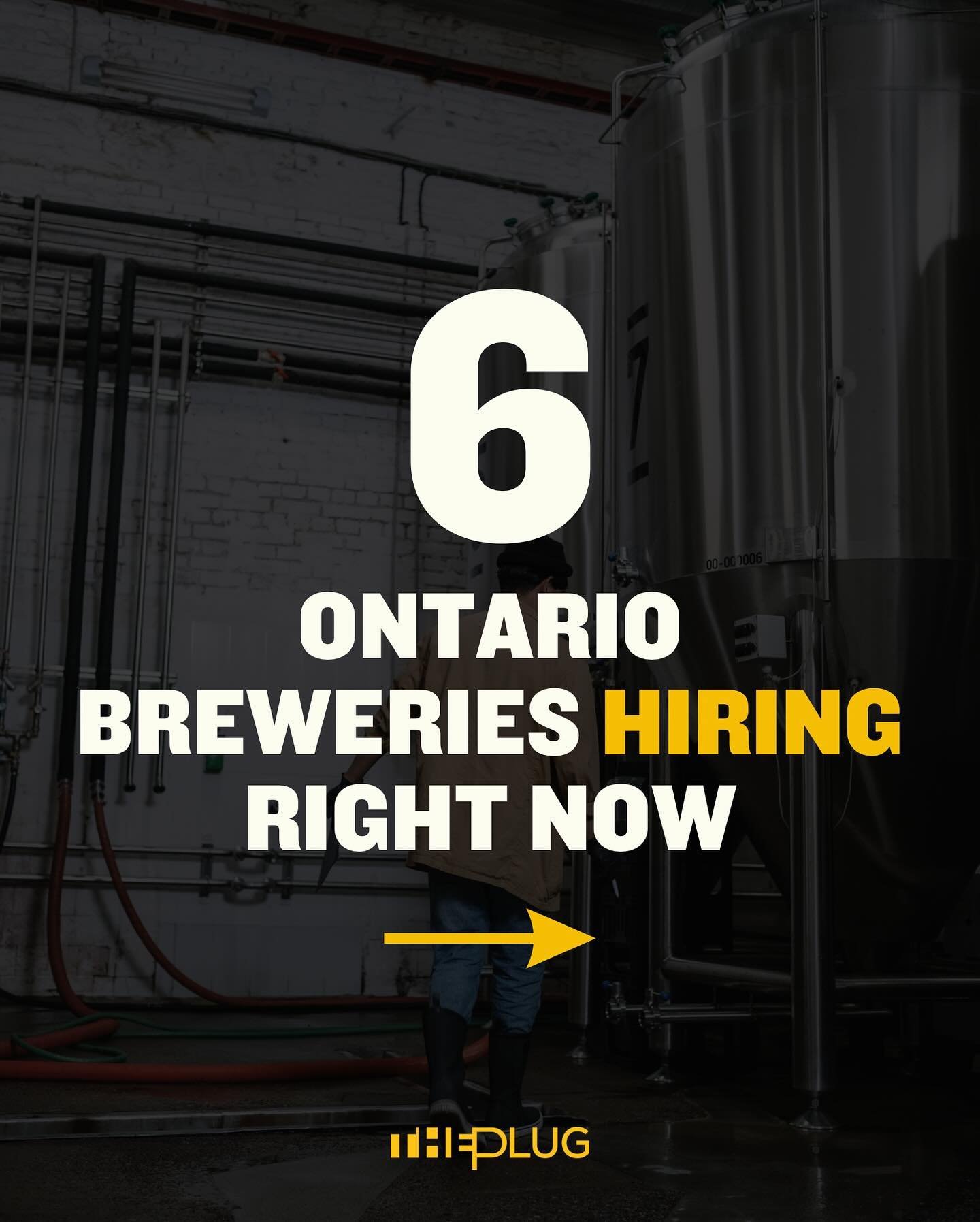 What a time to be looking for a job in beer 👏 so many dope craft breweries are hiring in Ontario right now.

Swipe to check out job opportunities from our Link Up partners, including roles in brewing, marketing, sales, management, and more. 🔌 Head 