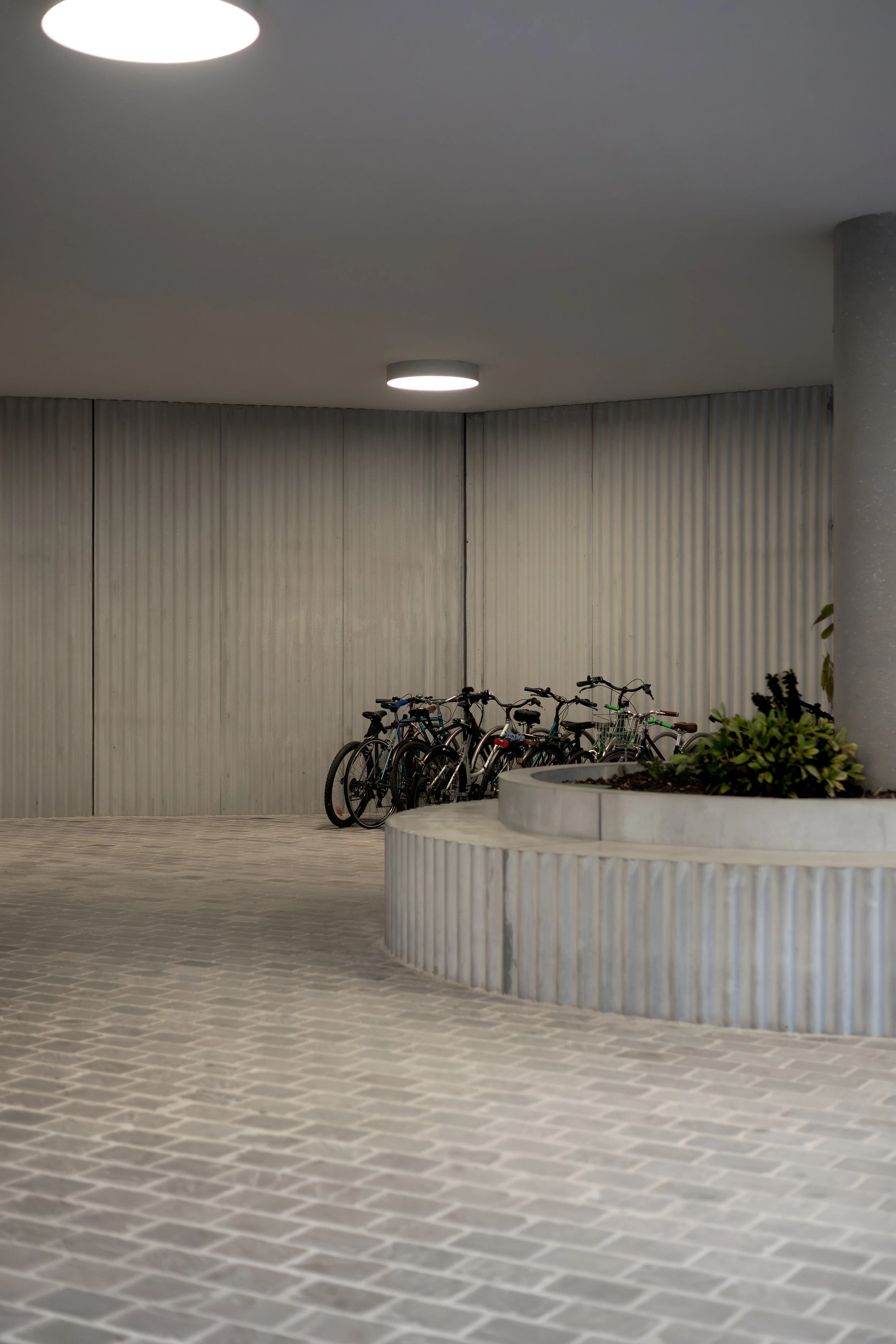 3O1A6893-2 copie.jpg