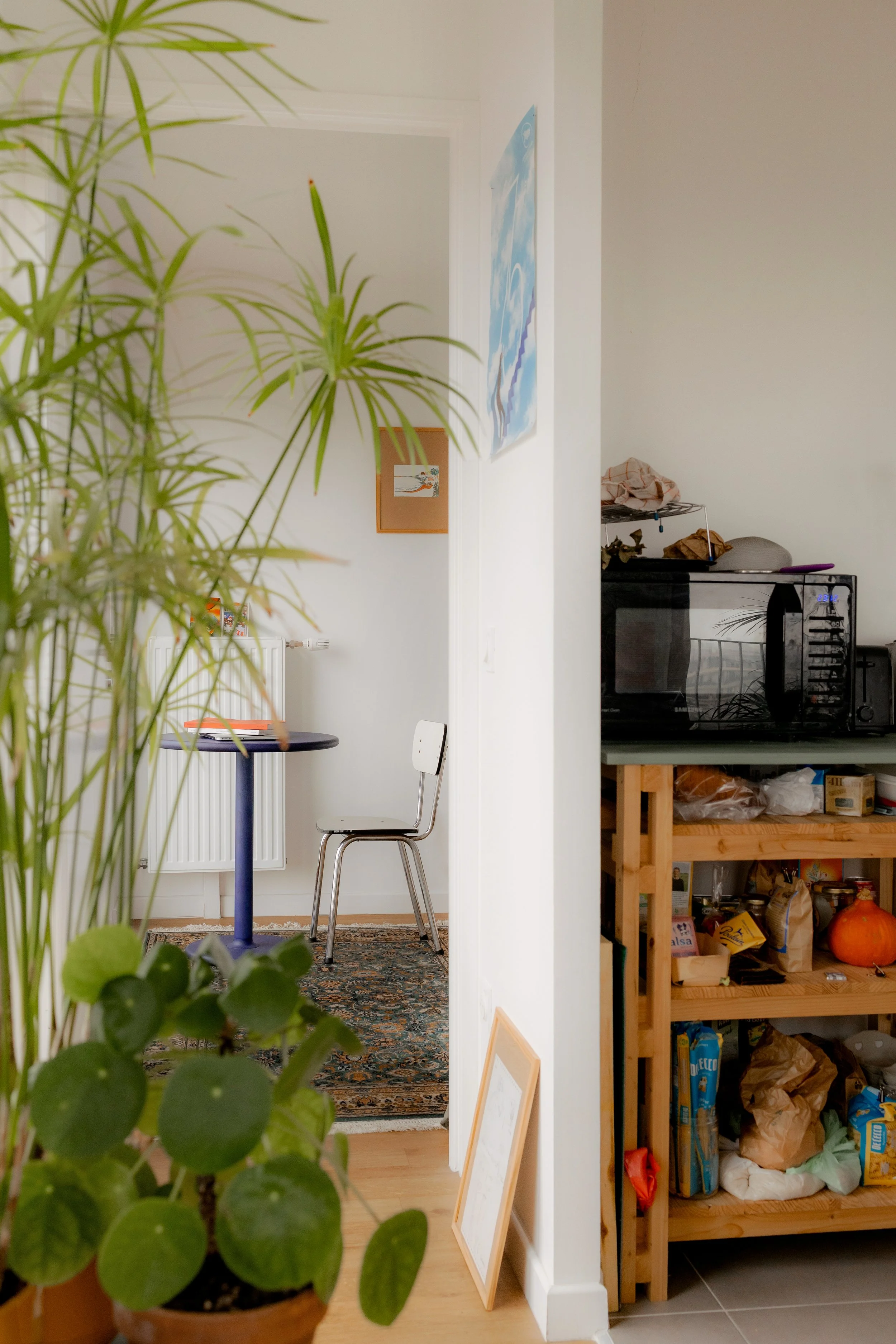 3O1A6991-25 copie 2B copie.jpg