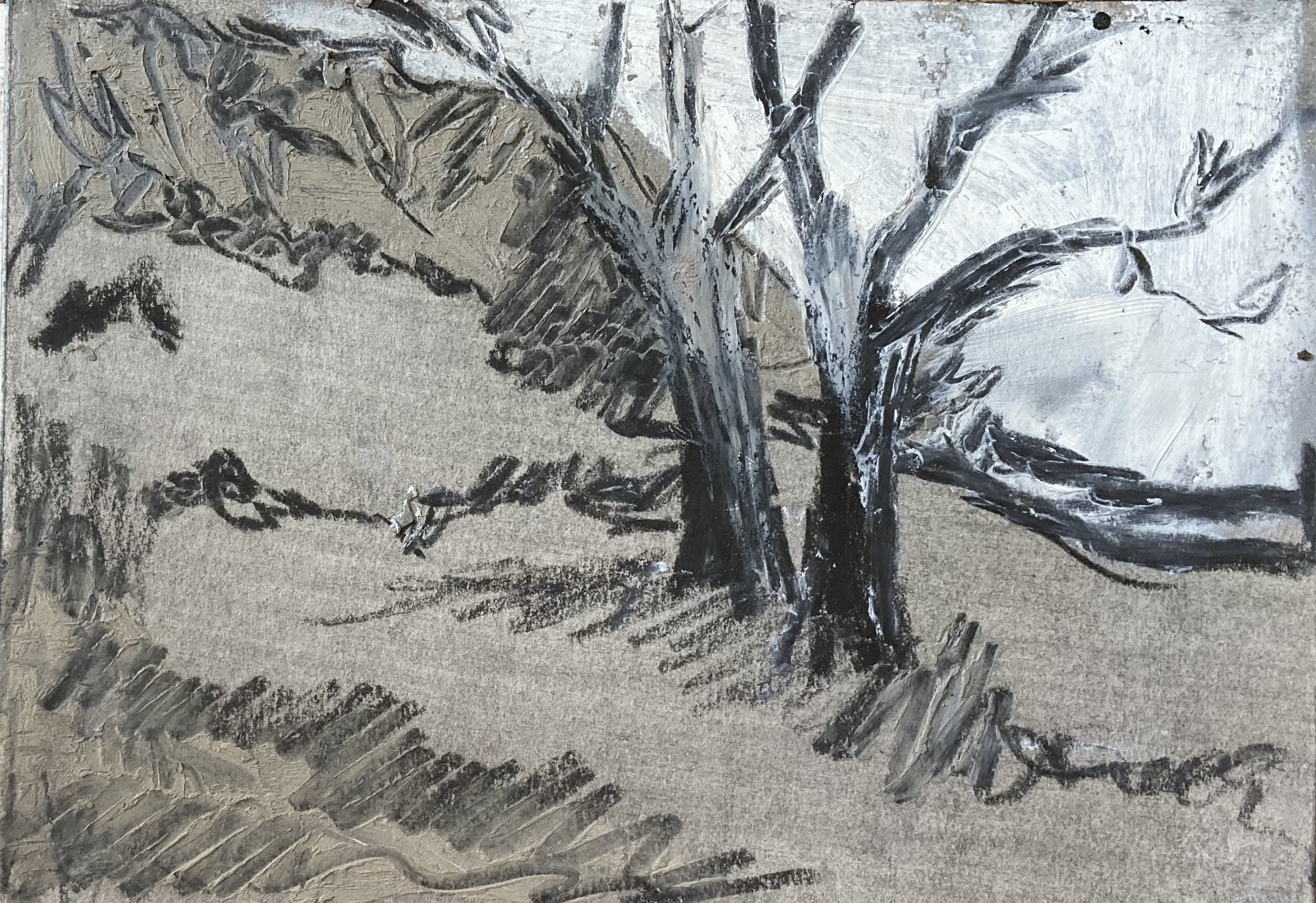 Trees_14.8x21_oil pastel pencil crayon and watersoluble graphite on paper.jpg