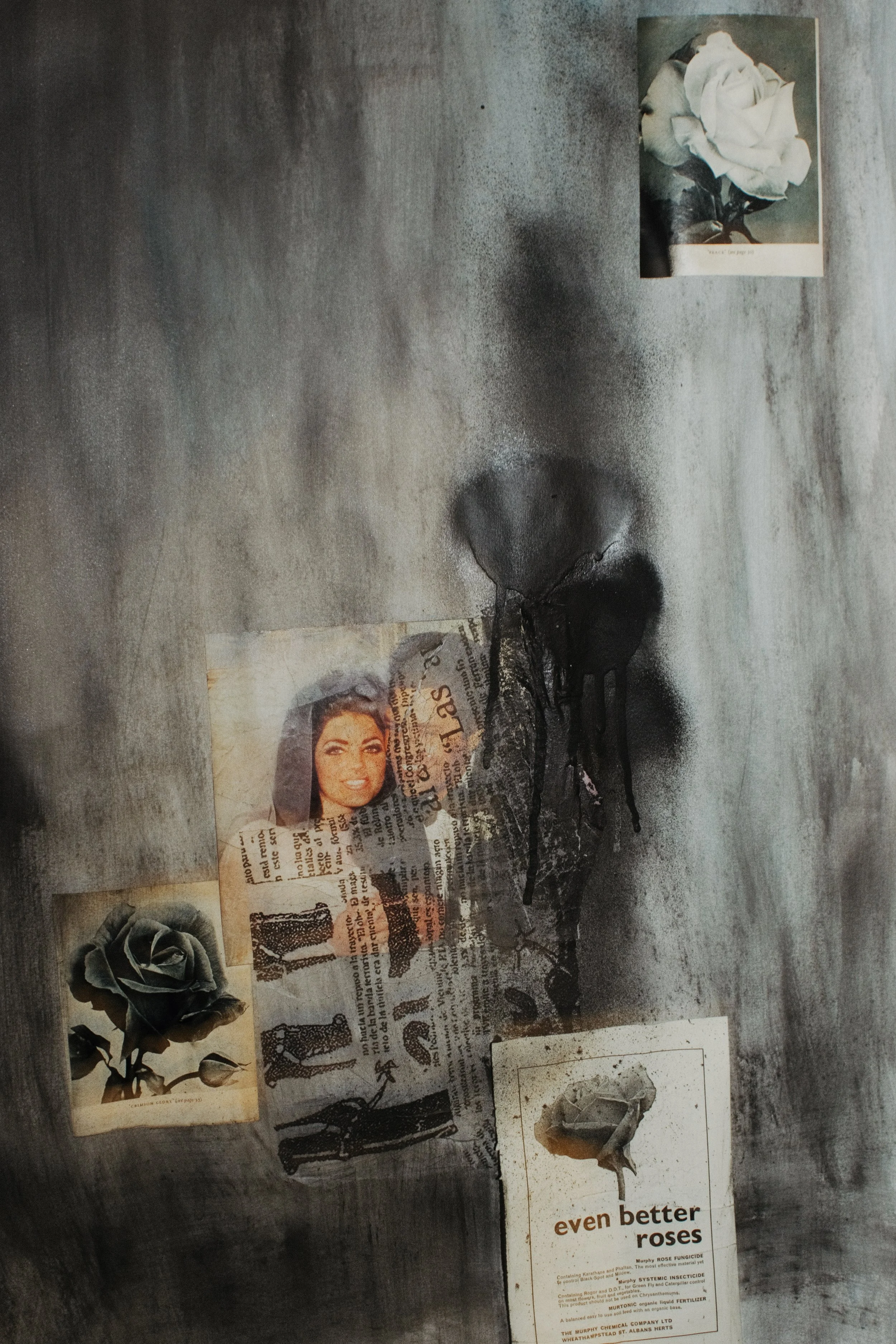 What's a flower if not a sinister motive 