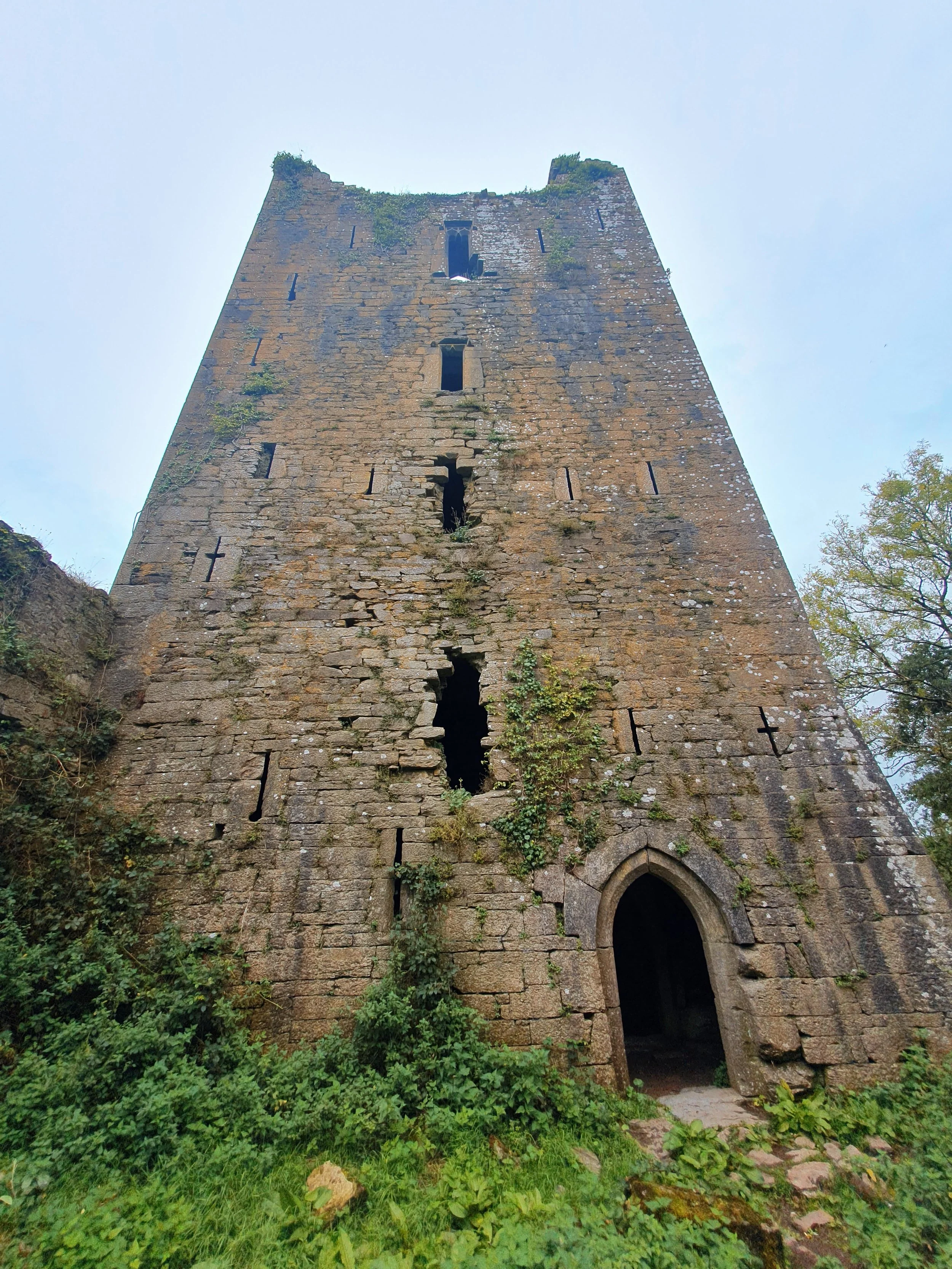 Old stone castle tower with pointed arch doorway and narrow slit windows, surrounded by green bushes and plants, under a cloudy sky.