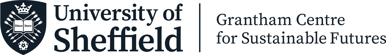 Measuring Sustainability: Life Cycle Assessments for Bio-based Products