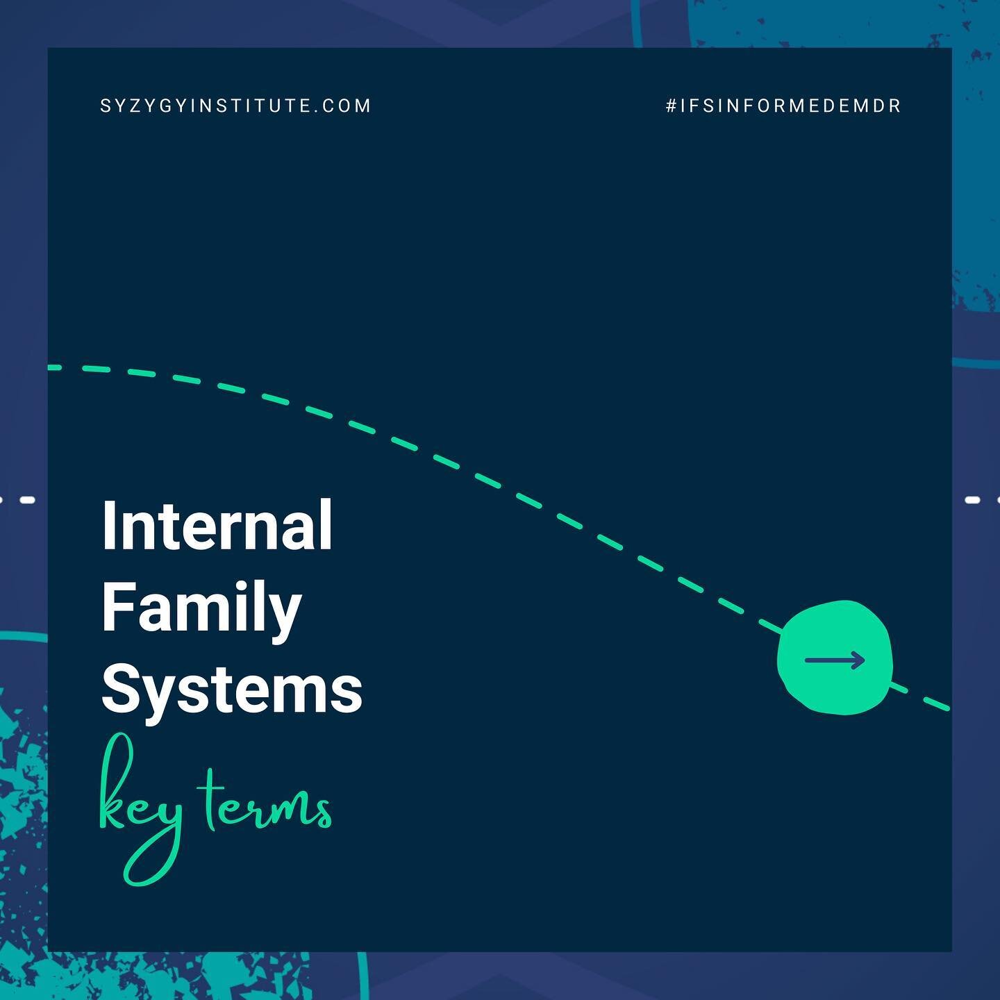 We talk a lot about IFS and @internalfamilysystems is one of our top, trusted resources for this transformative healing modality. Key terms are always essential for learning so we've pulled together the top three #IFSkeyterms. Swipe through to explor