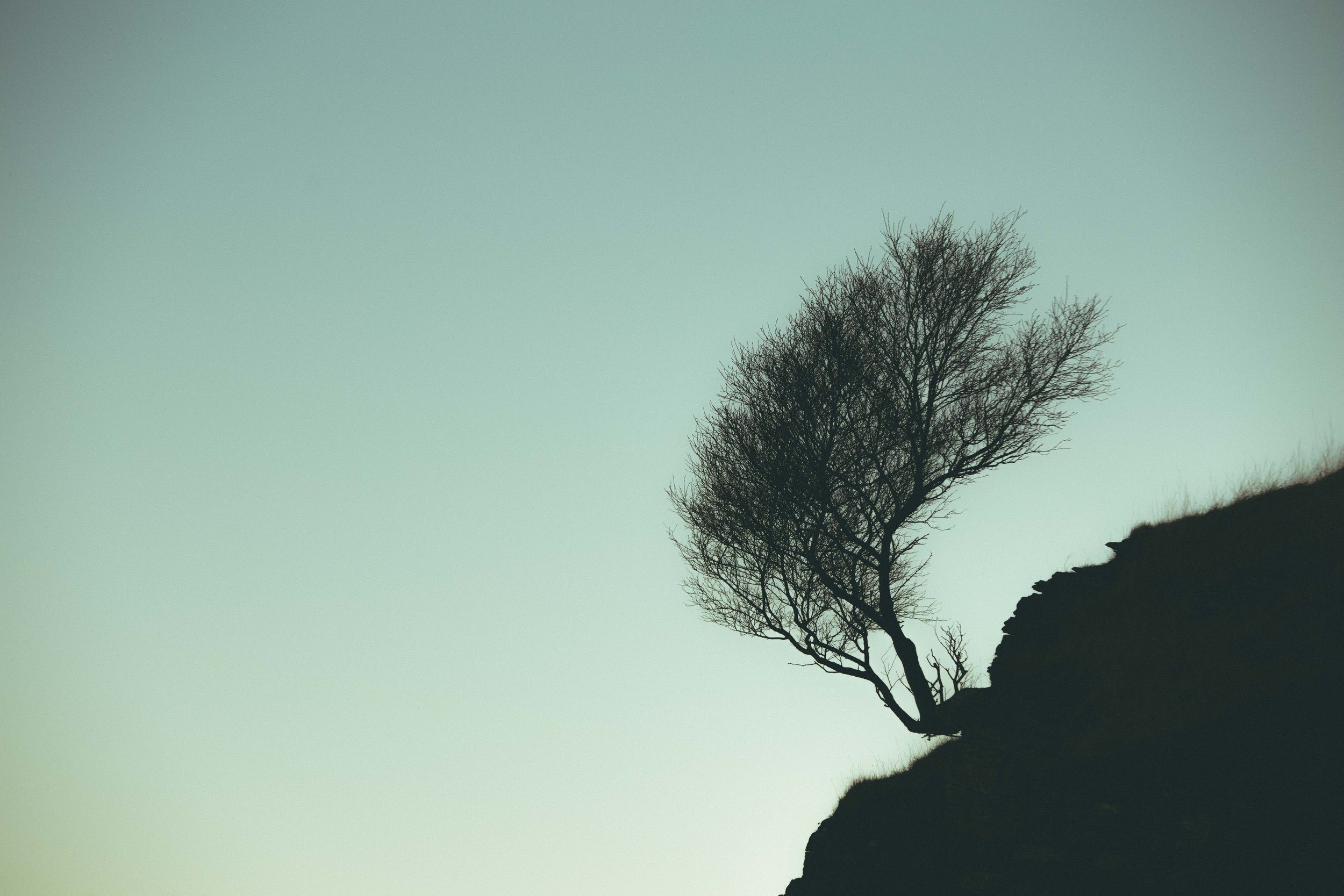 All photo album andrew-1750.jpg