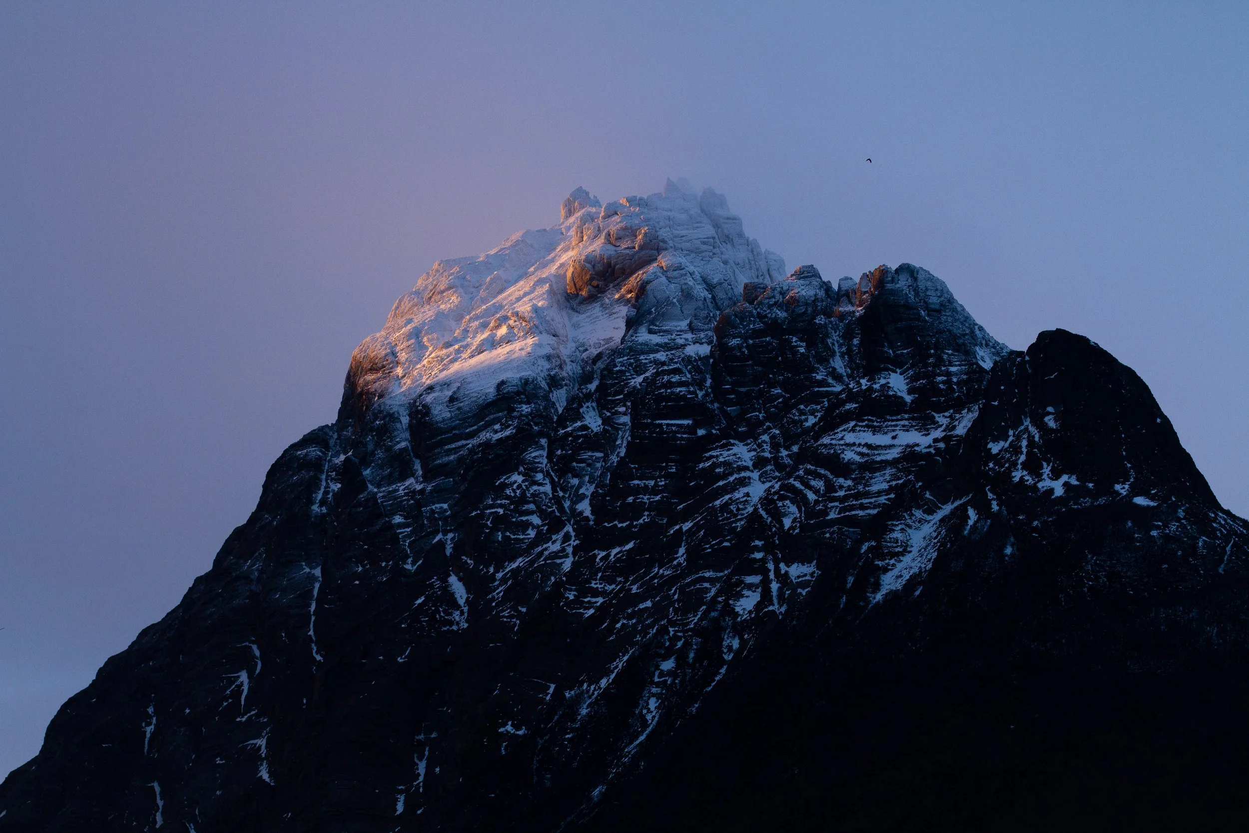 All photo album andrew-2400.jpg