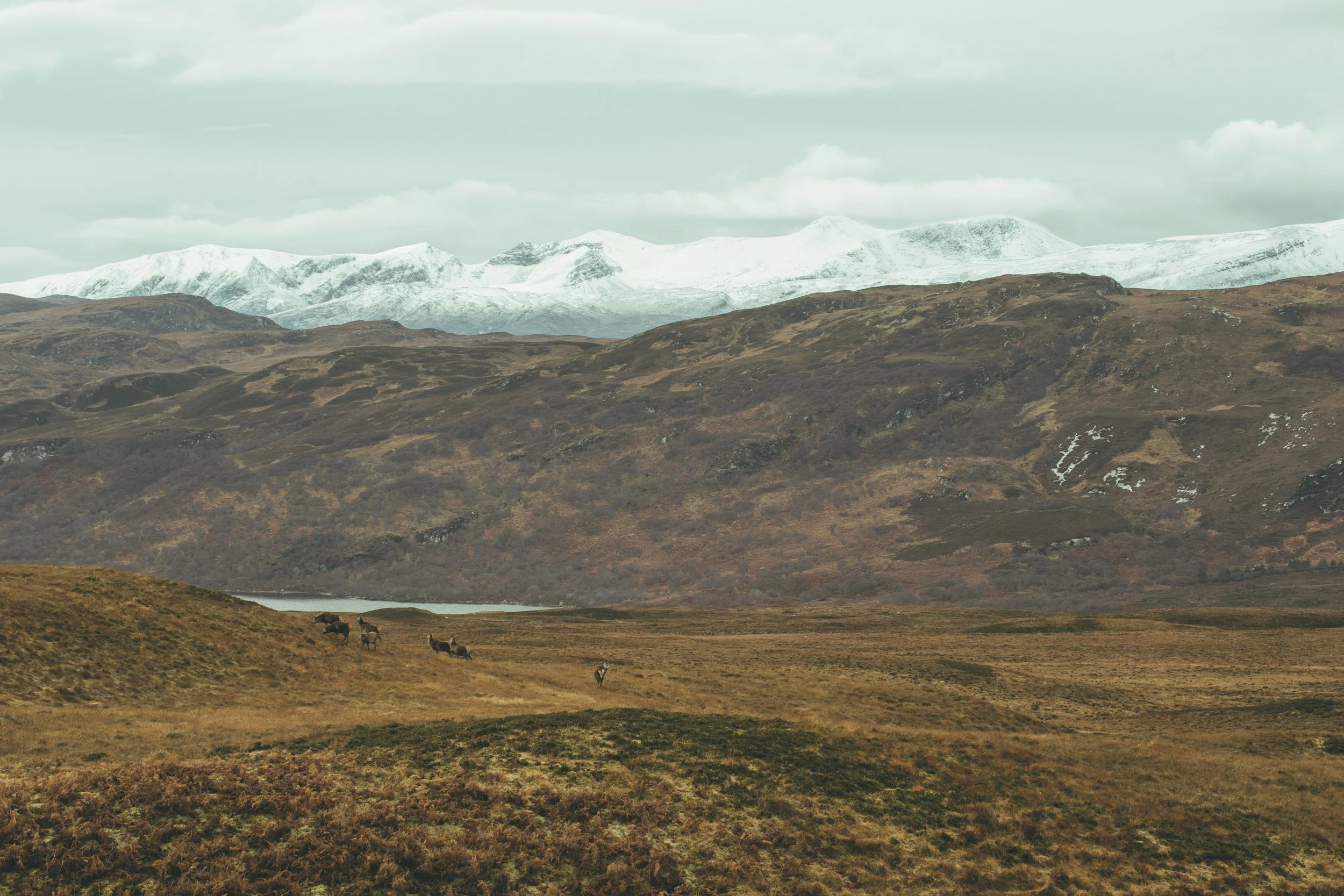 All photo album andrew-1684.jpg