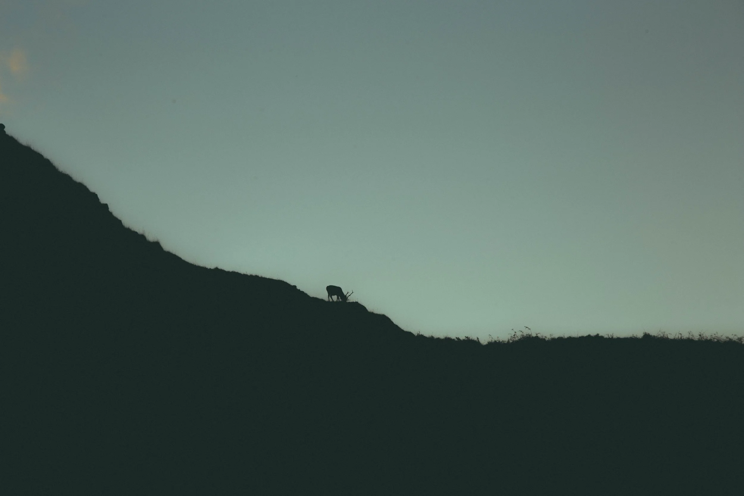 All photo album andrew-1746.jpg