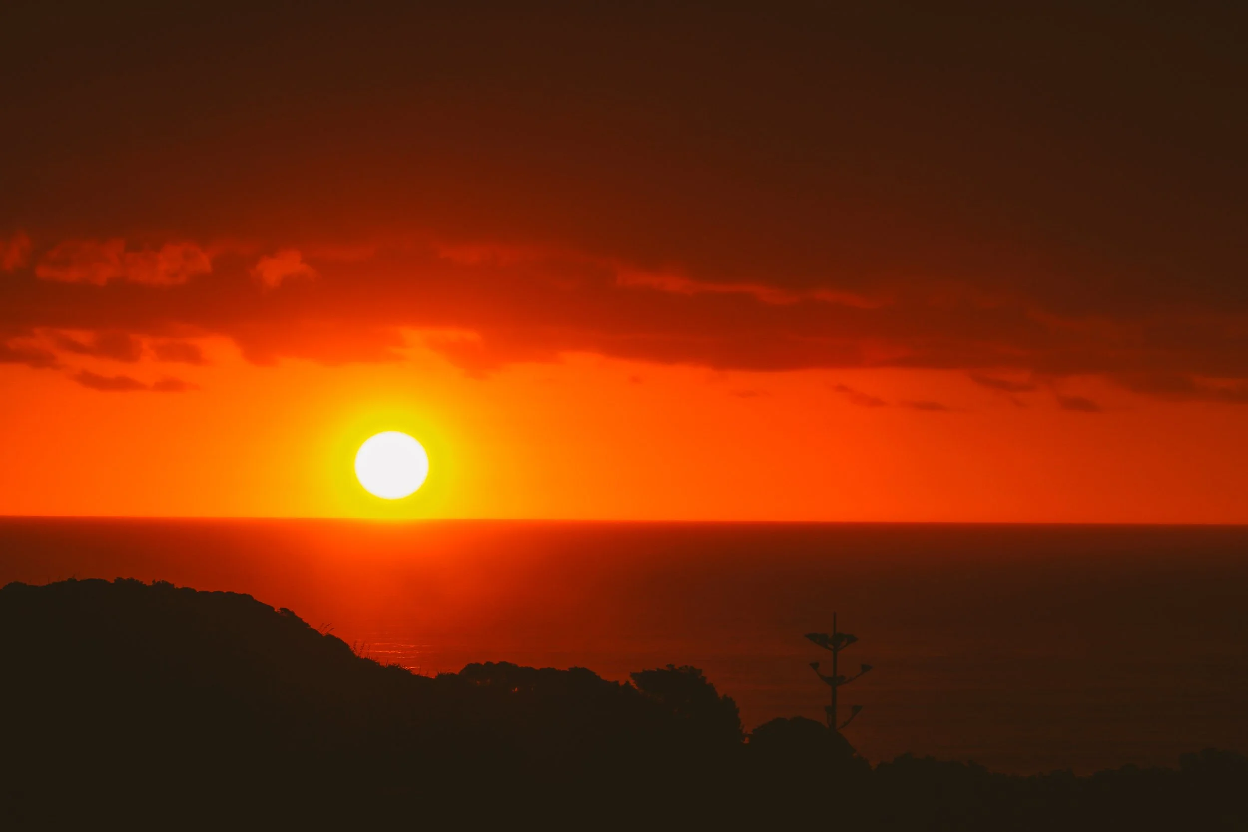 All photo album andrew-732.jpg