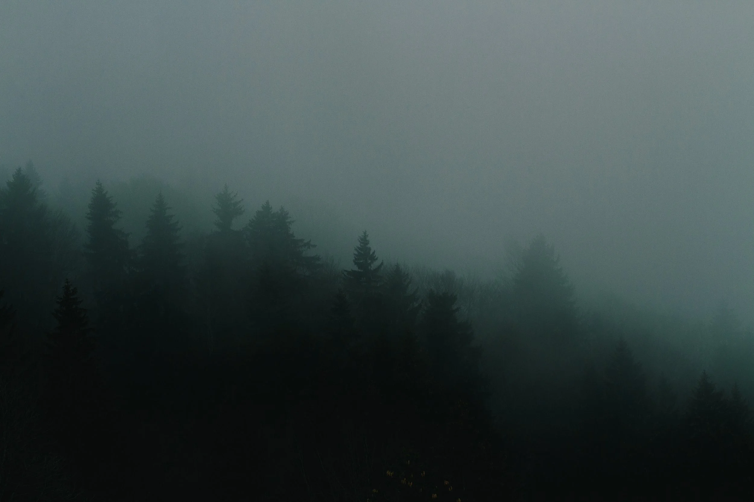 All photo album andrew-1458.jpg