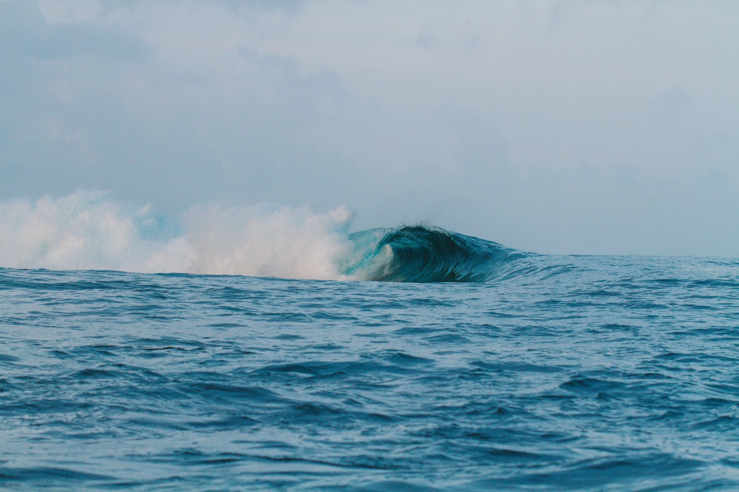 All photo album andrew-672.jpg