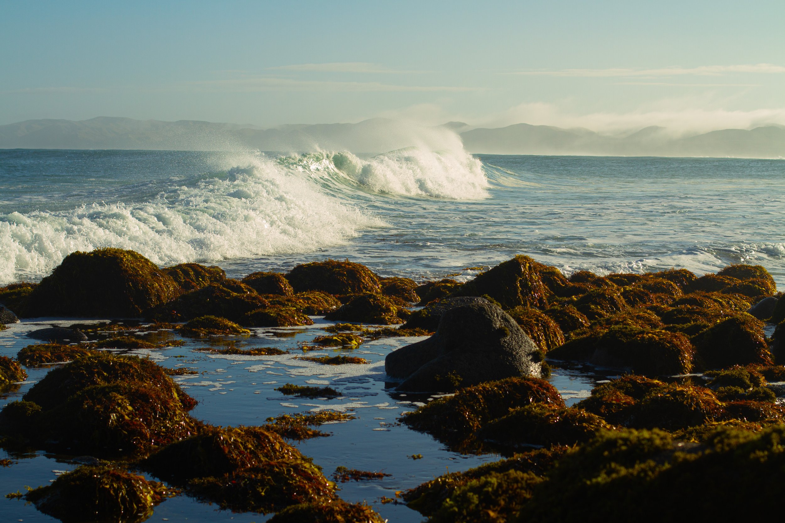 All photo album andrew-3553.jpg