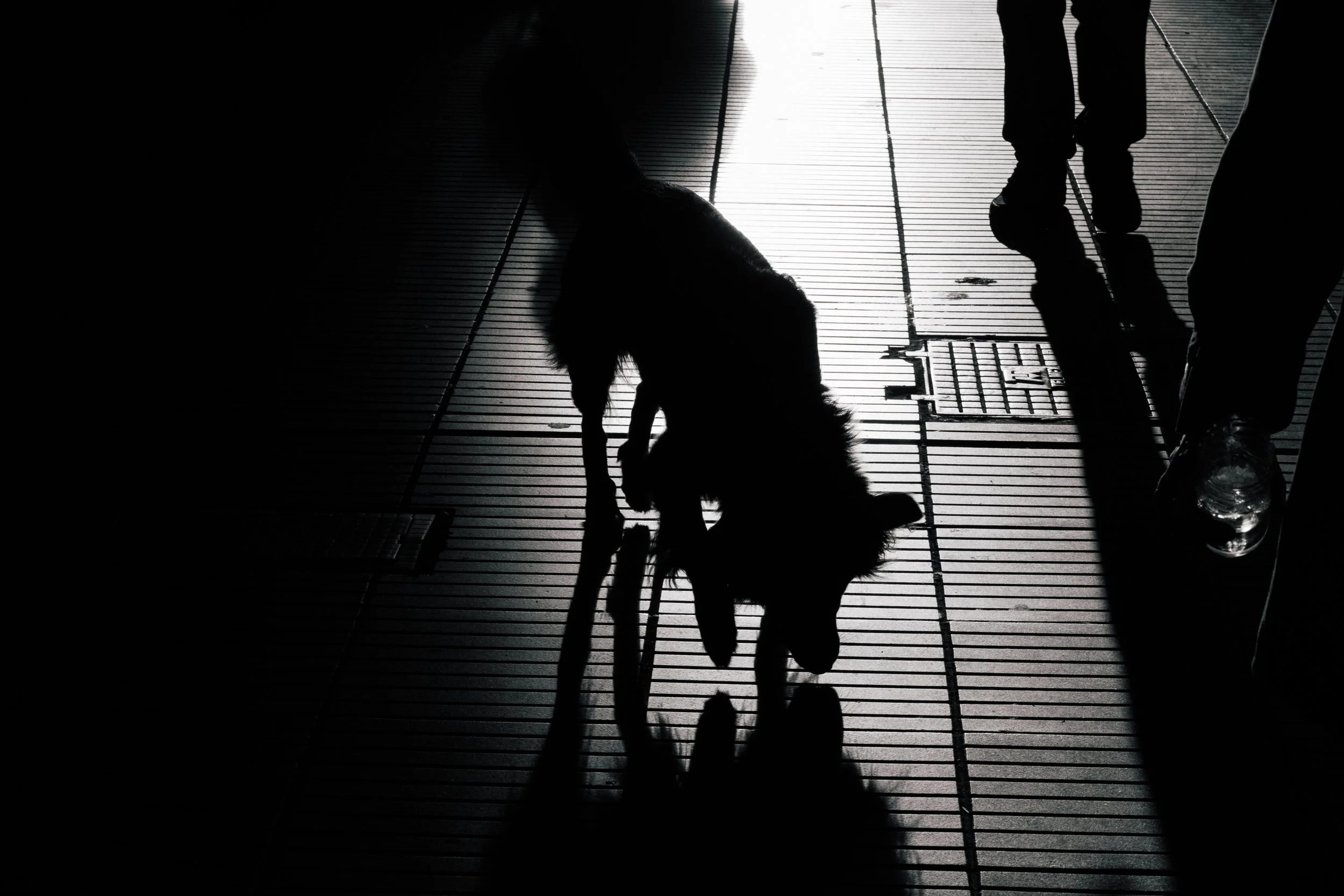 All photo album andrew-2330.jpg