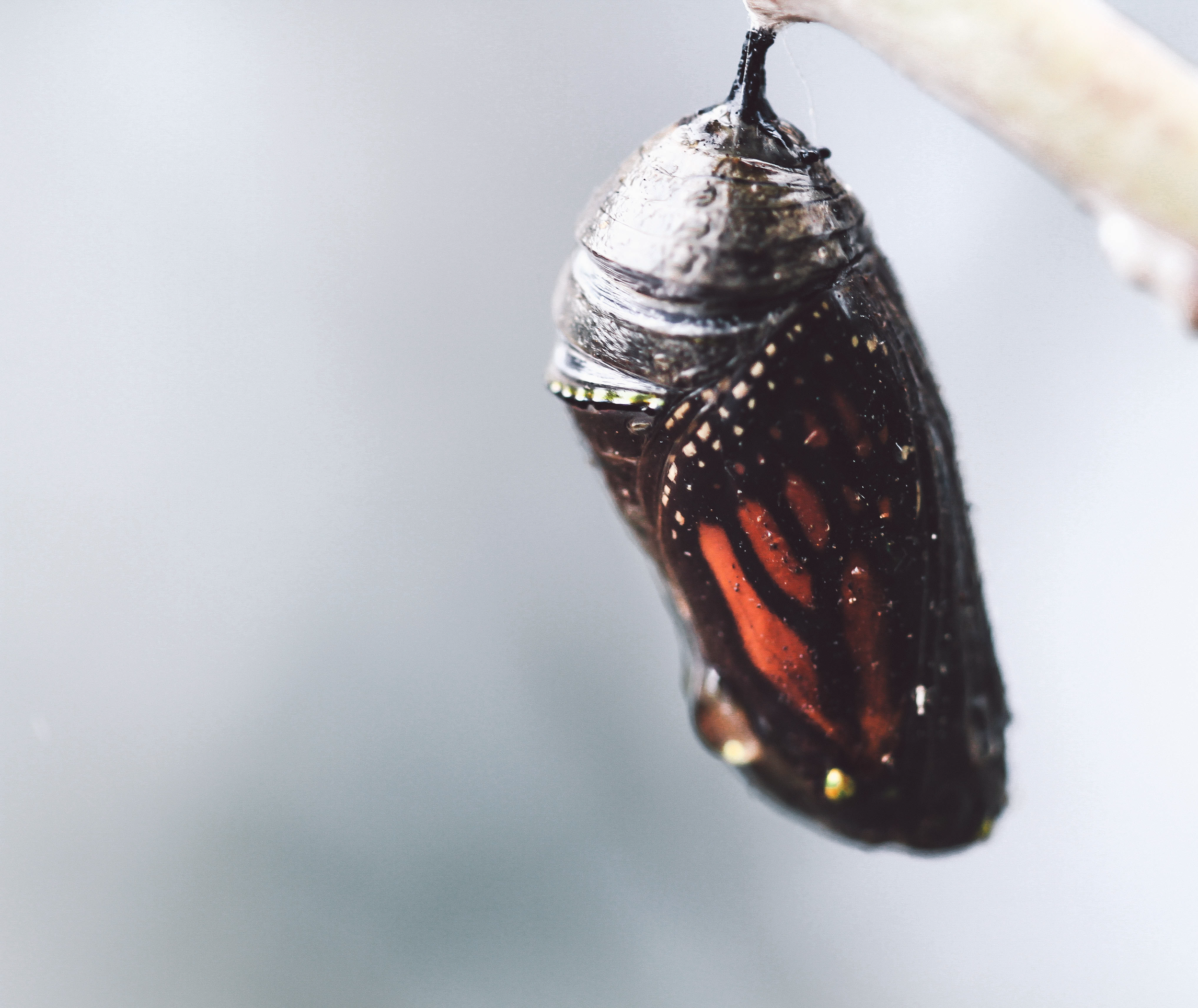 All photo album andrew-769.png