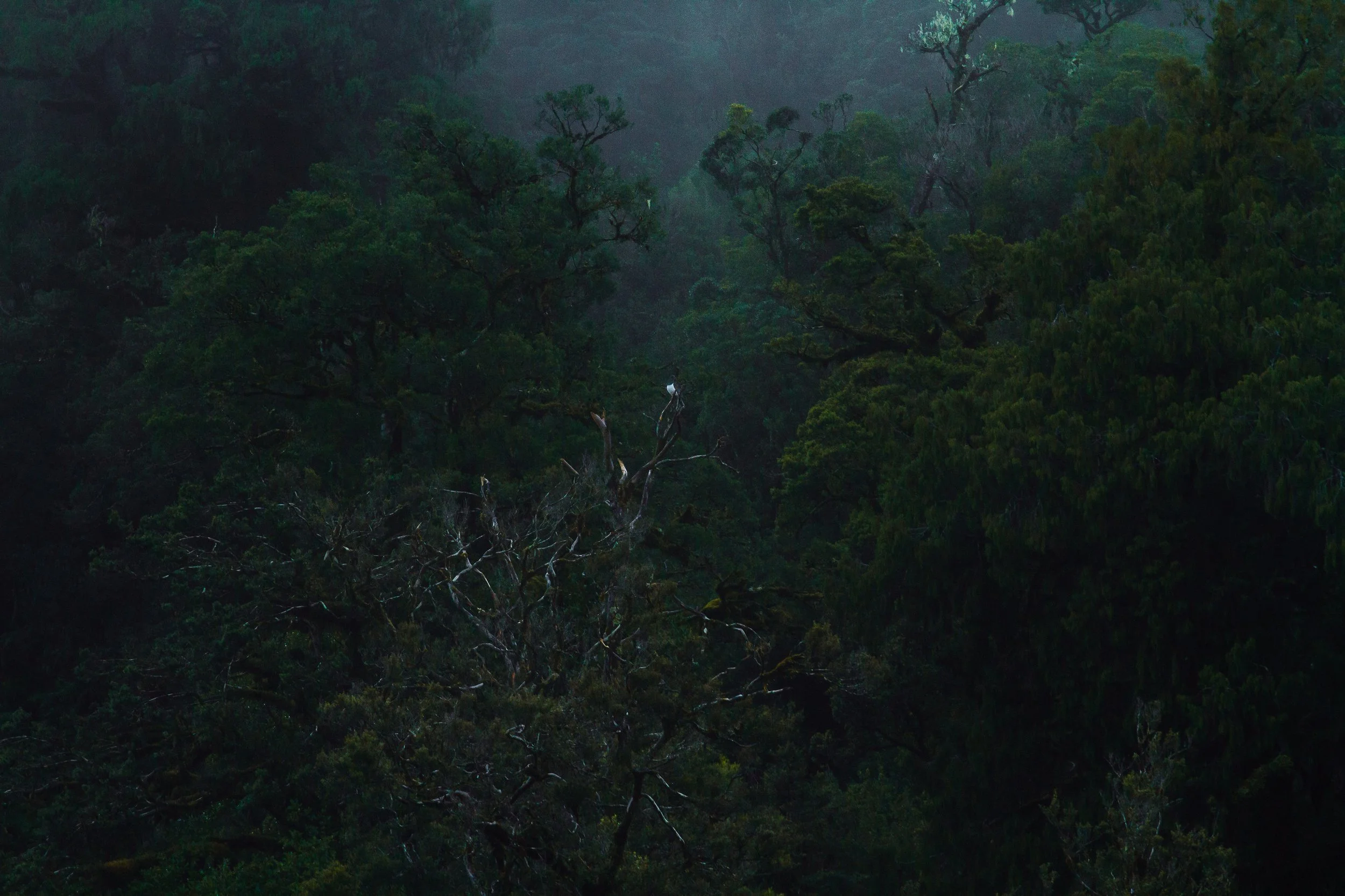 All photo album andrew-2008.jpg