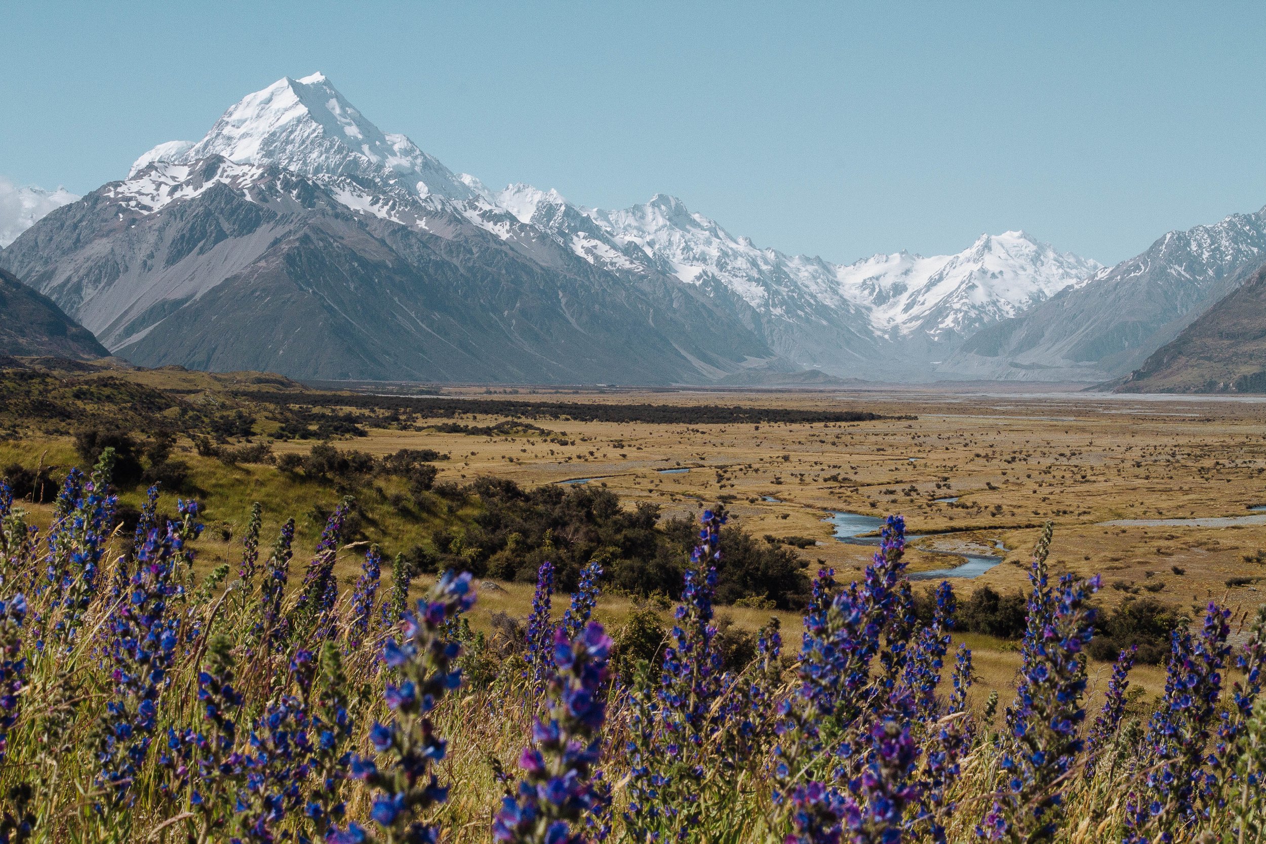 All photo album andrew-2101.jpg