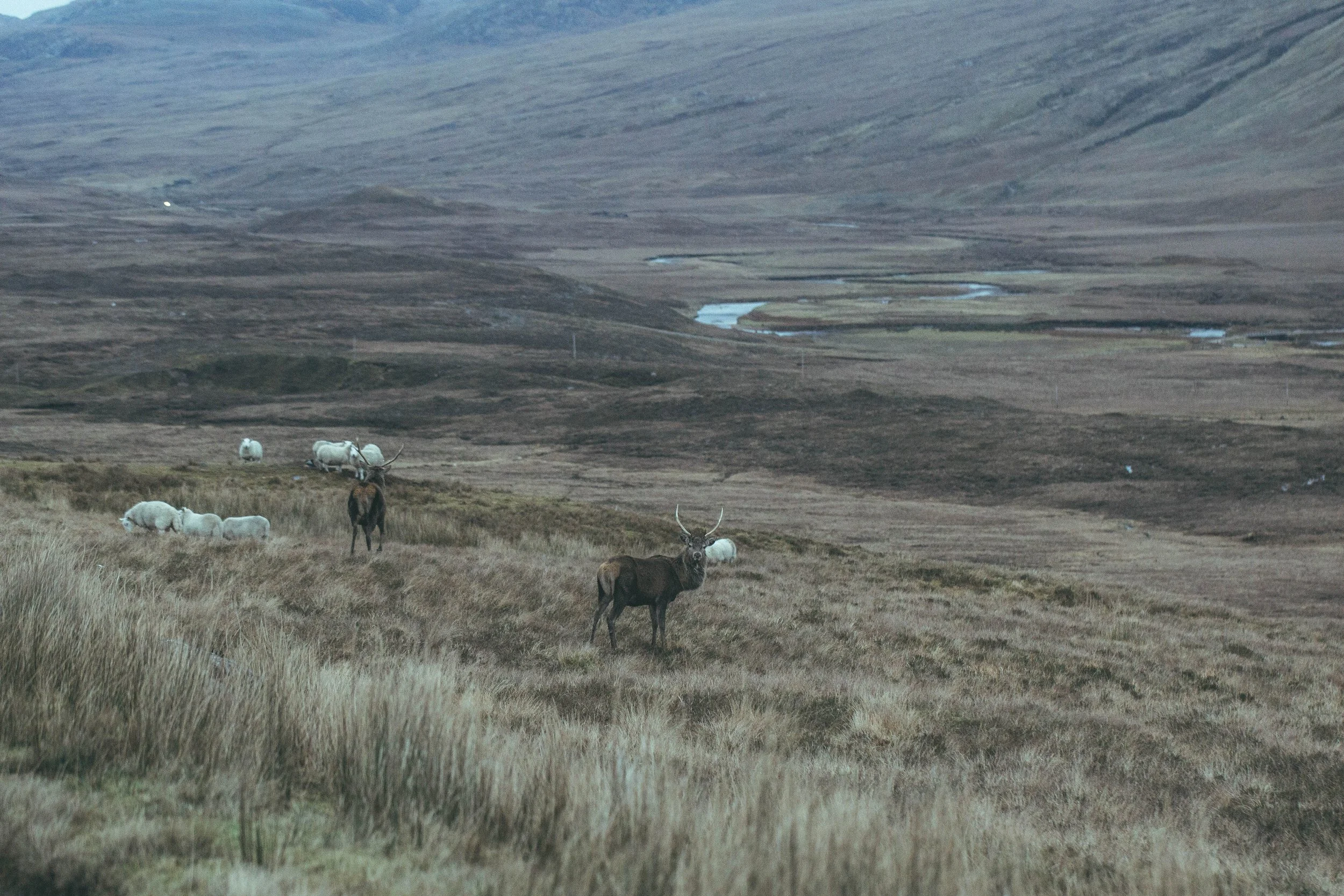 All photo album andrew-1702.jpg