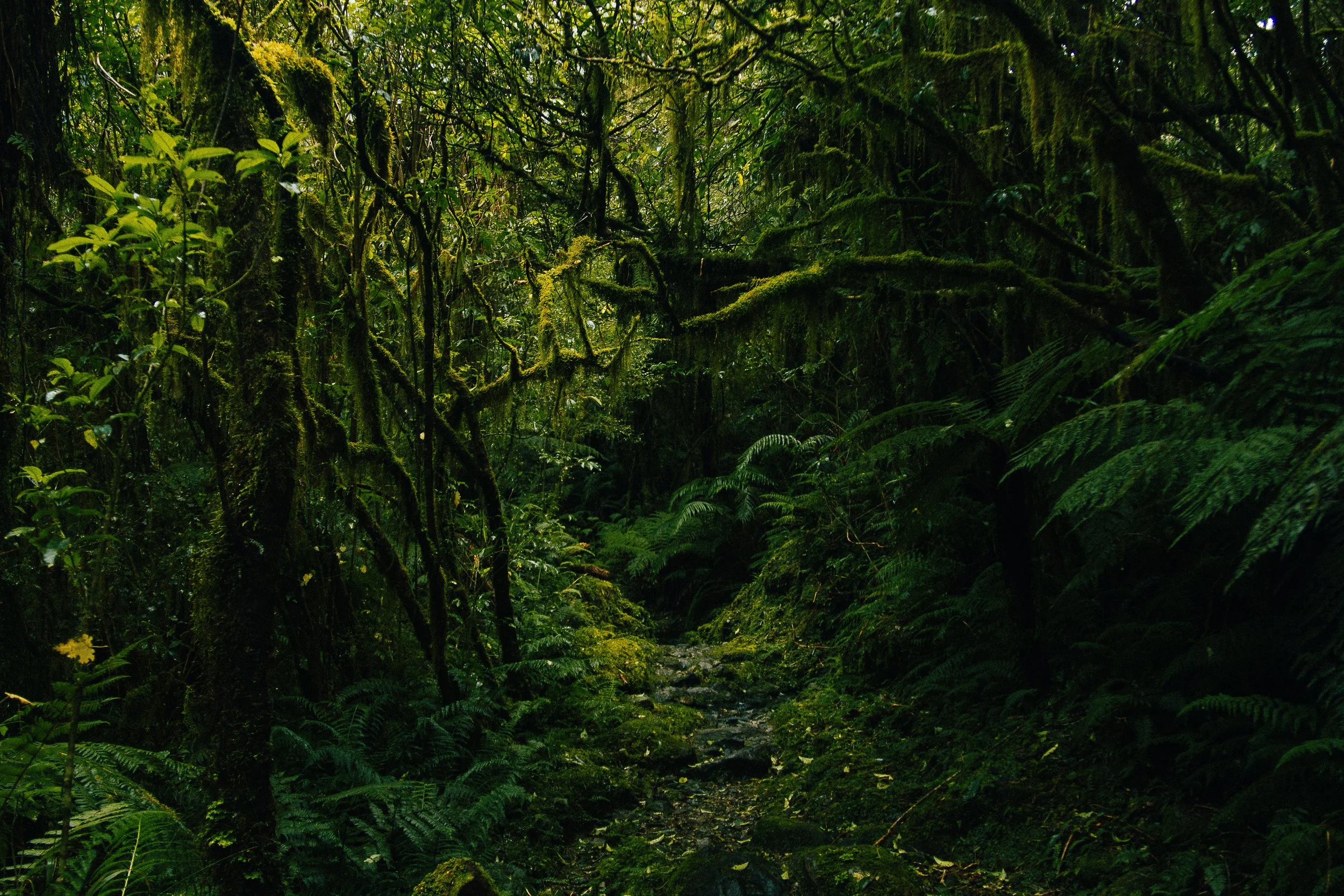 All photo album andrew-1989.jpg