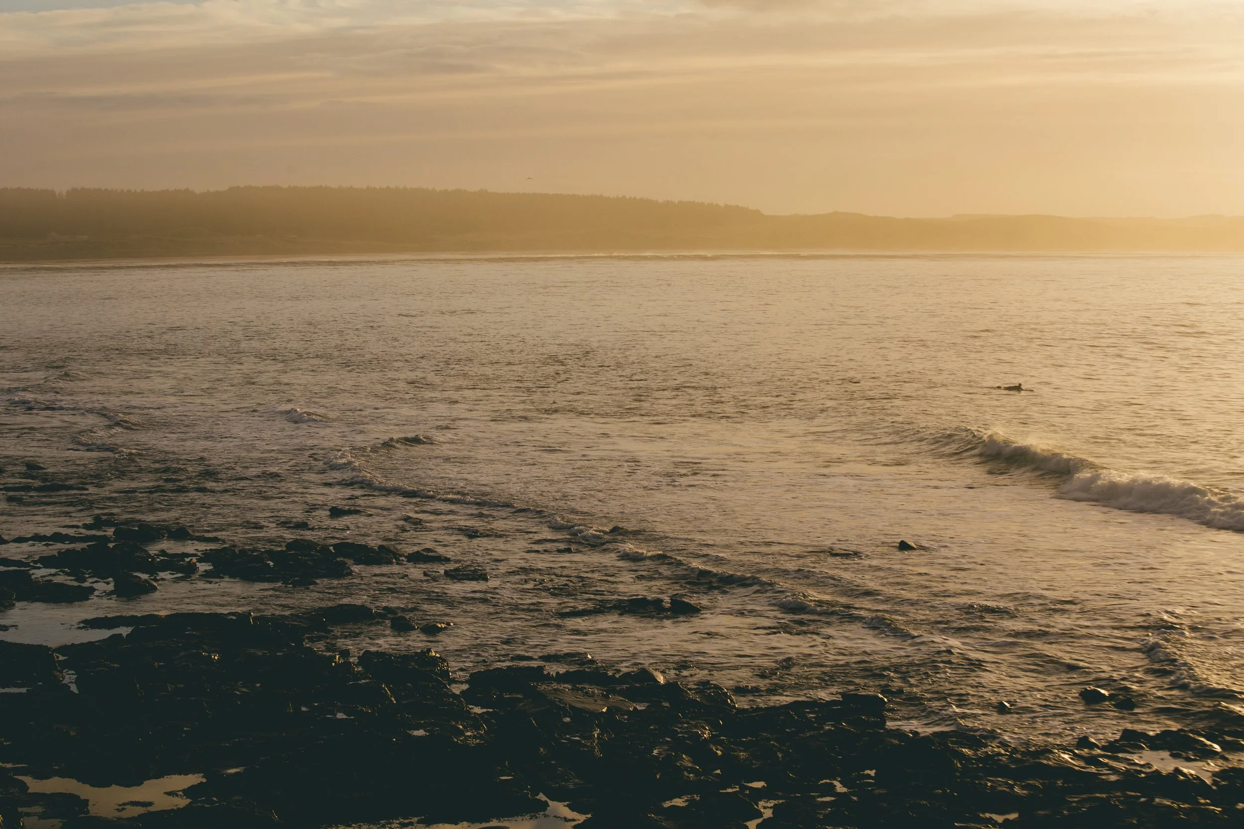 All photo album andrew-1643.jpg