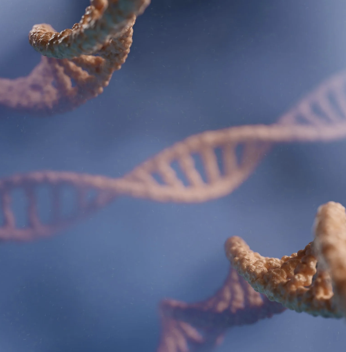 Lesson 1: What is Epigenetics and Why Your DNA Isn’t Destiny