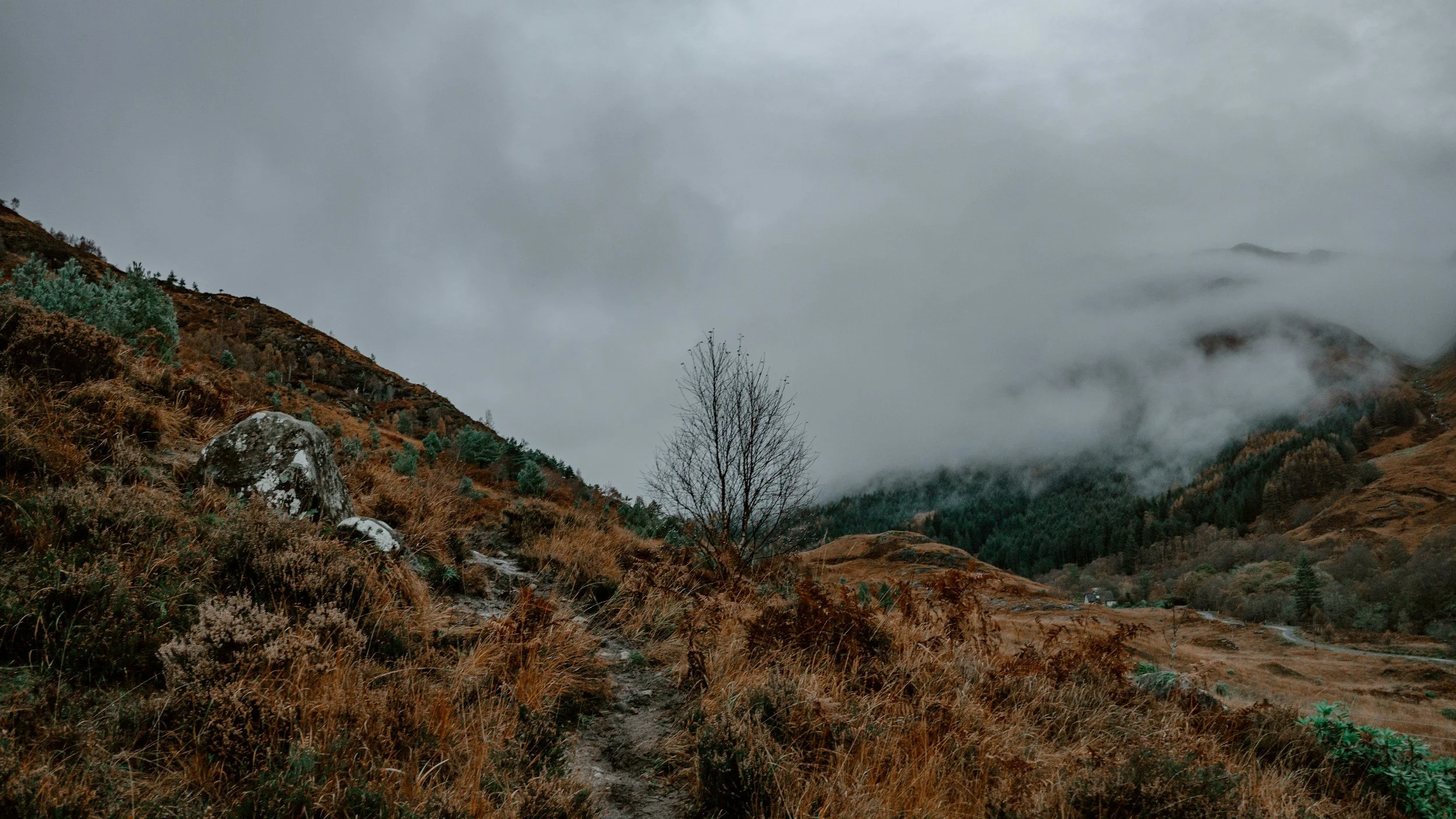 Ayurveda Winter Wellness: Balancing Kapha & Vata for Seasonal Health