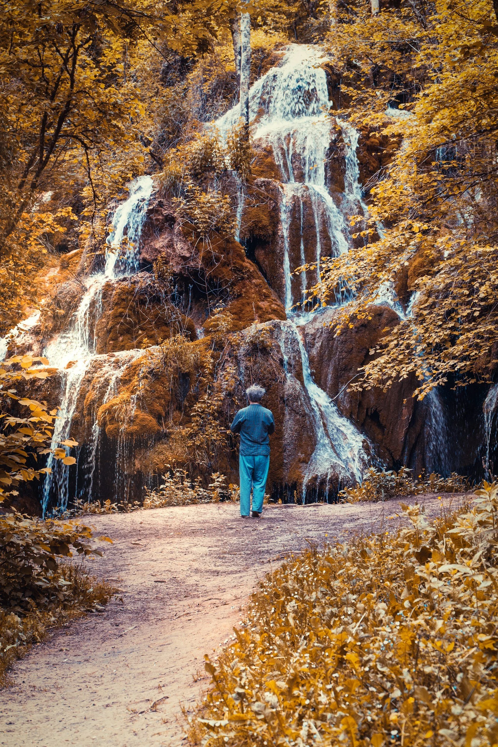 Movement for Fall: Yoga & Exercise to Balance Vata