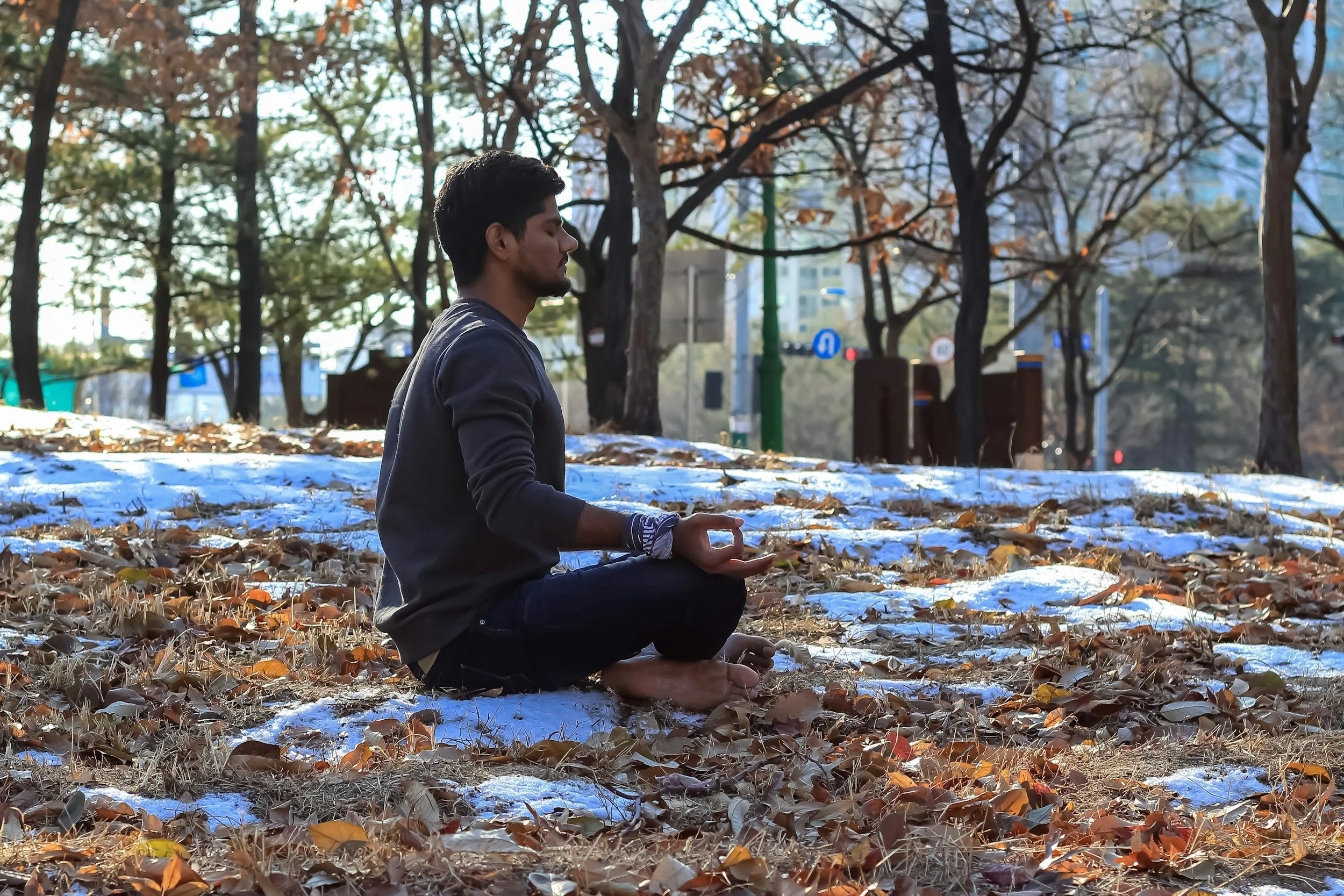 Meditation and Contemplation for Fall: Cultivating Stillness in Vata Season