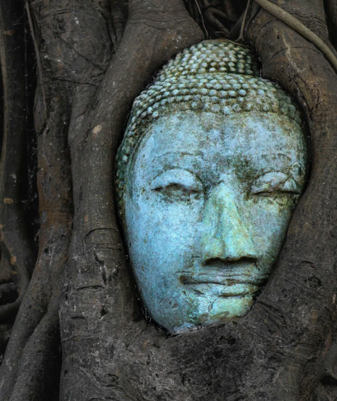 Becoming the Witness