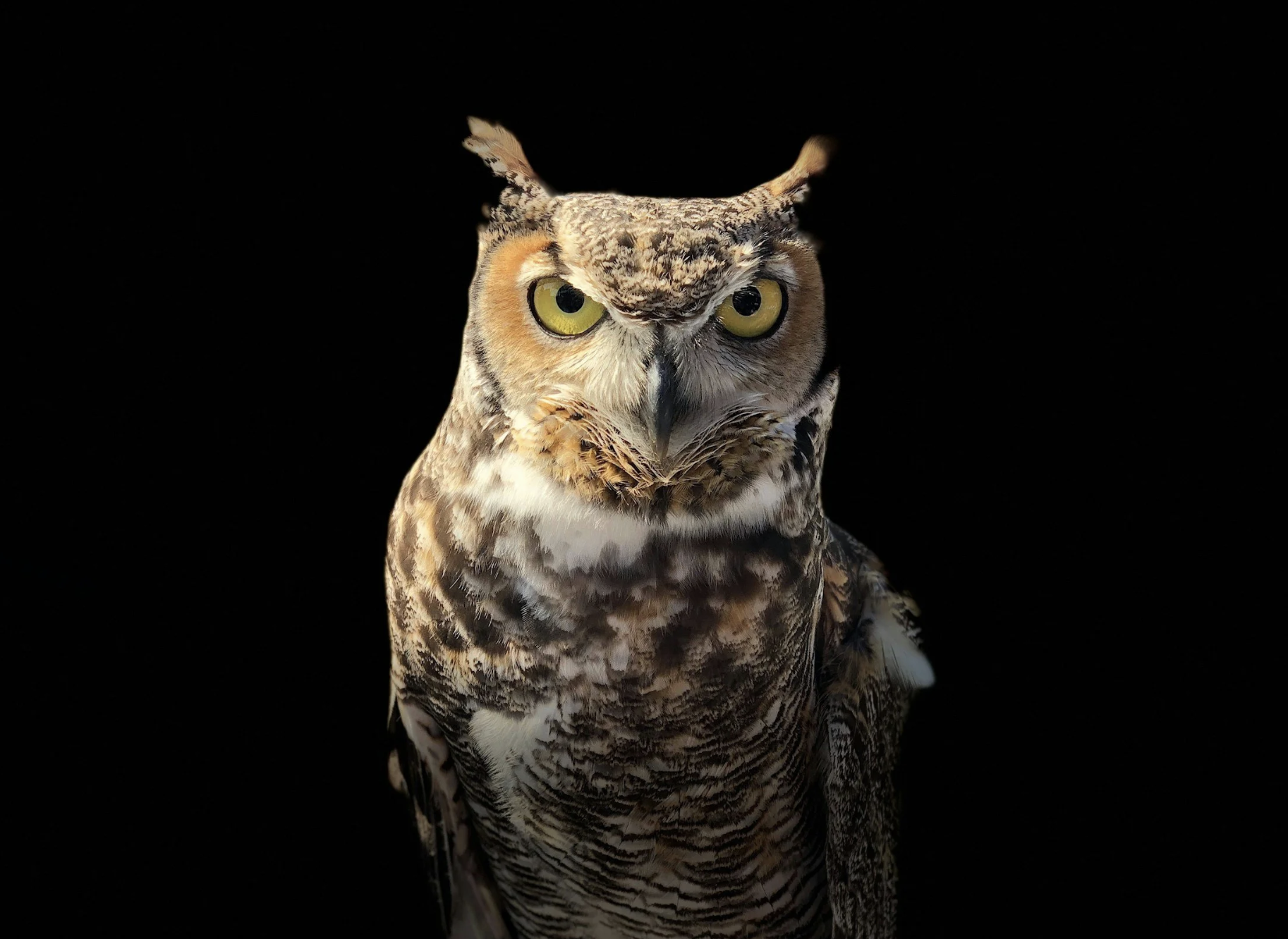 When Intuition Becomes Discernment