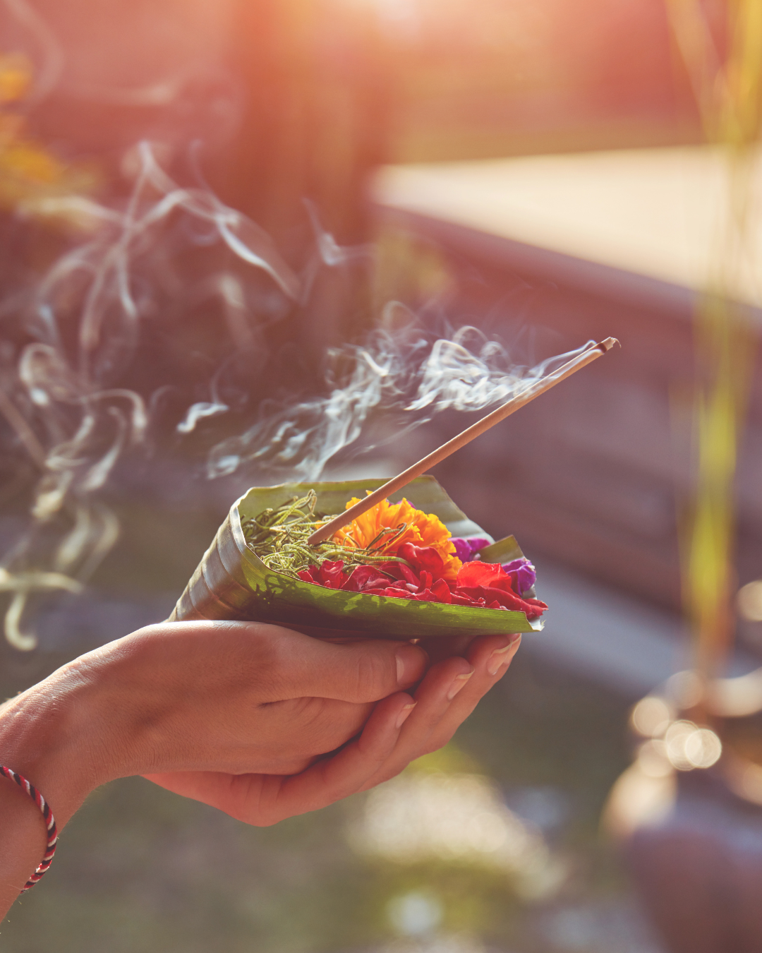 Lesson 3: Understanding Your Offerings