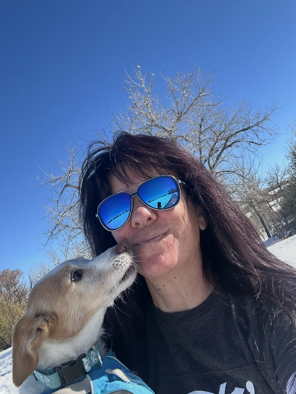 Woman wearing blue mirrored sunglasses cuddles a small tan-and-white dog outdoors in the snow.