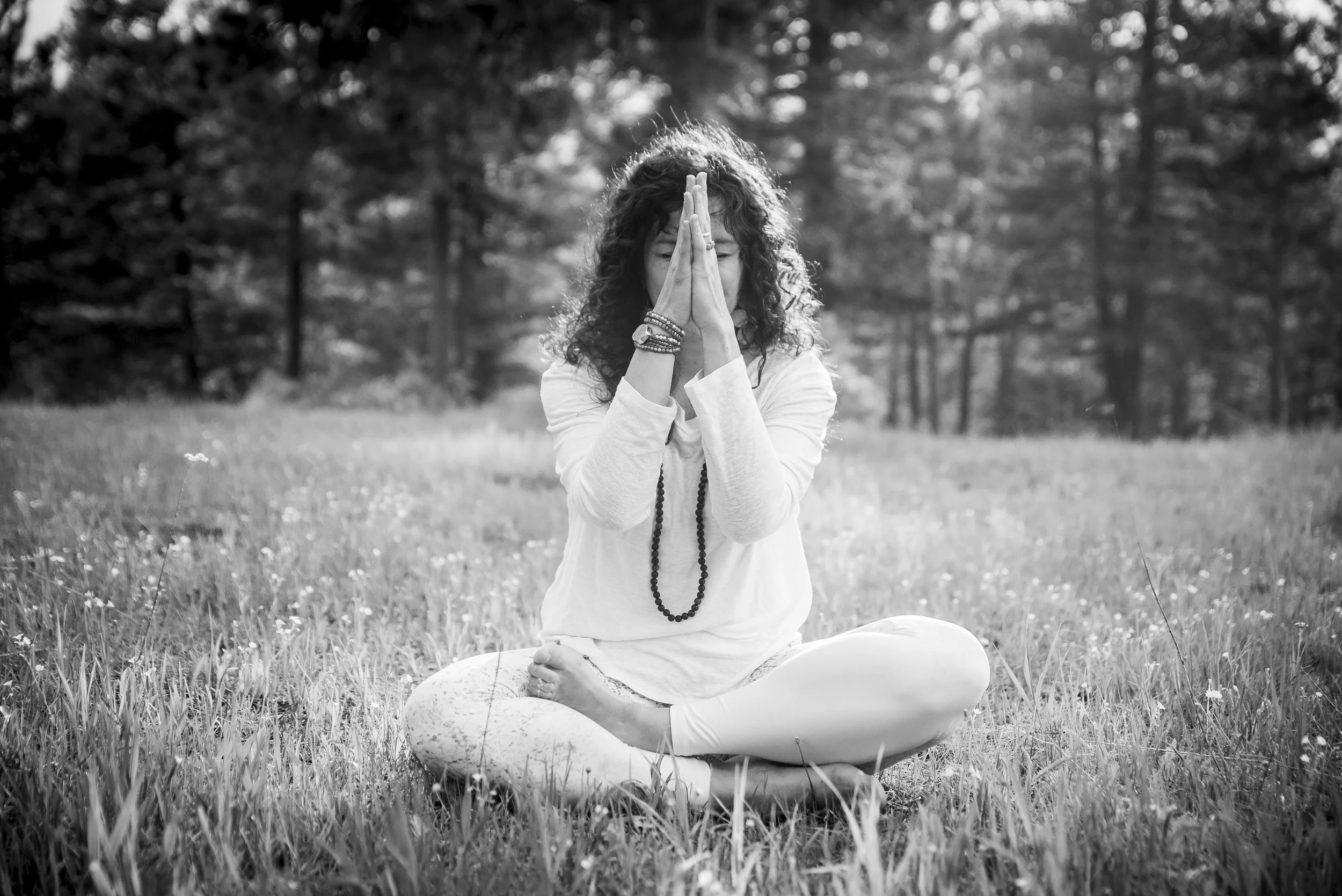 Lesson 3: Meditation